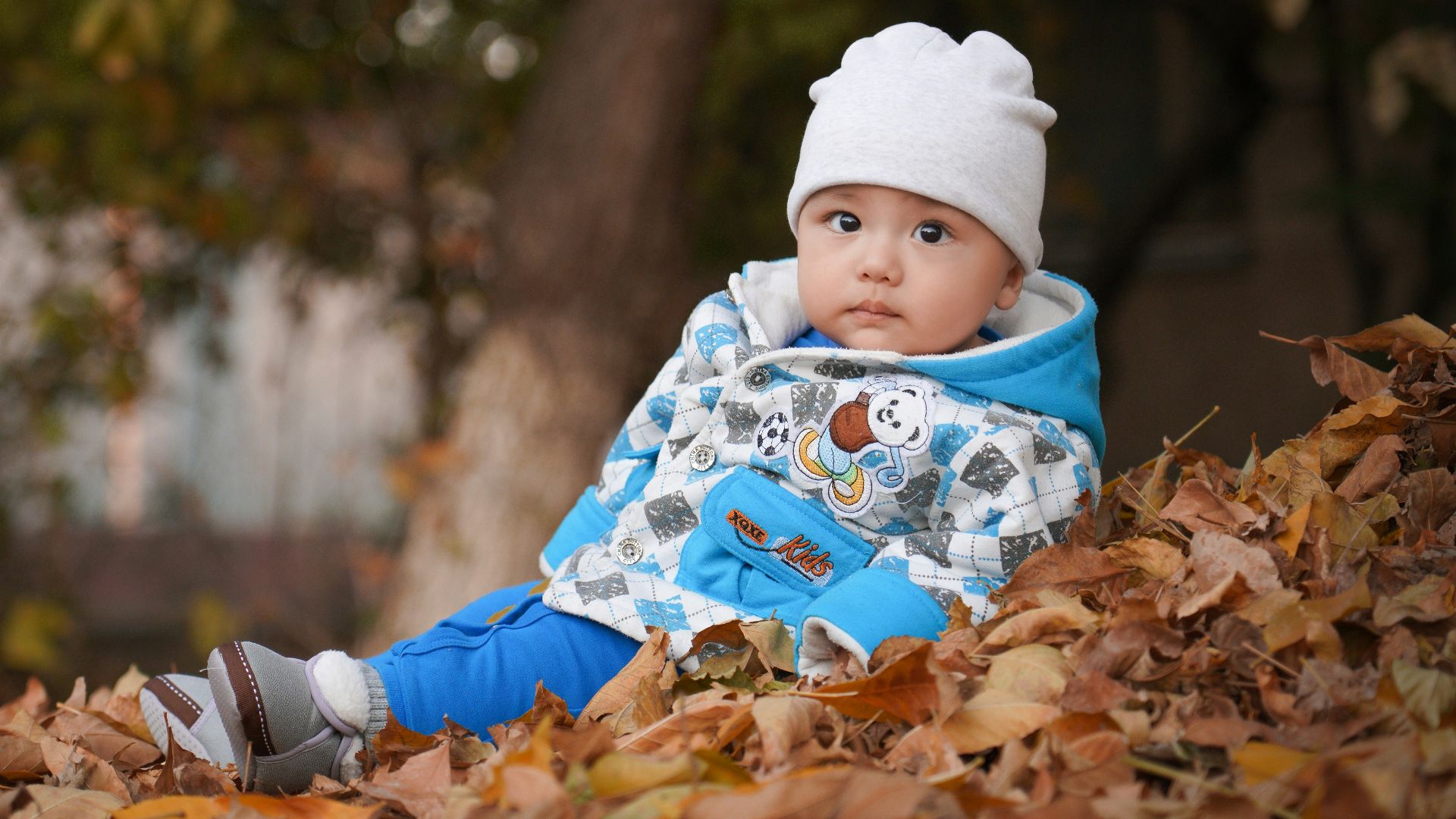 7. Jayden