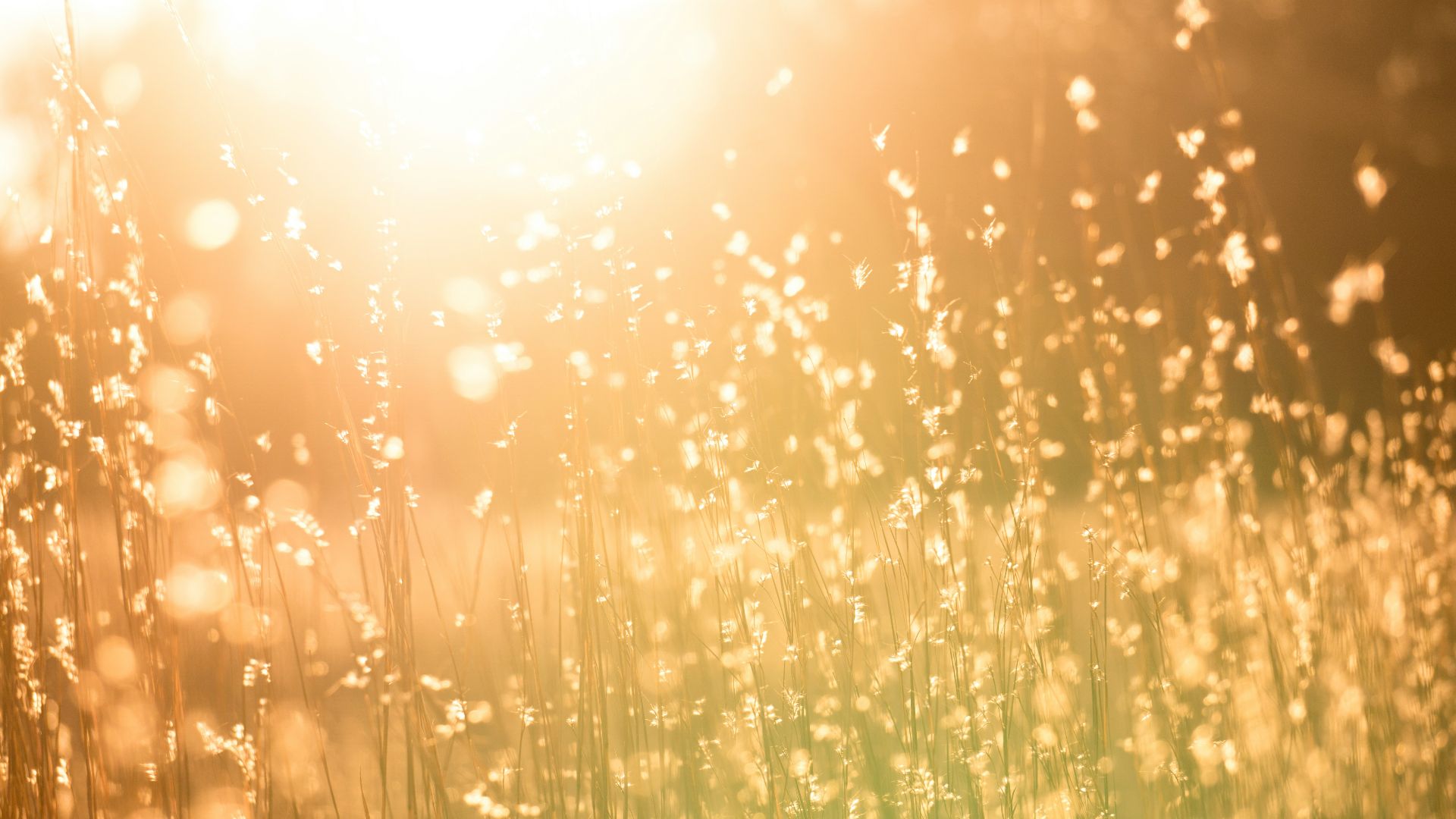 2. La lumière du soleil matinal