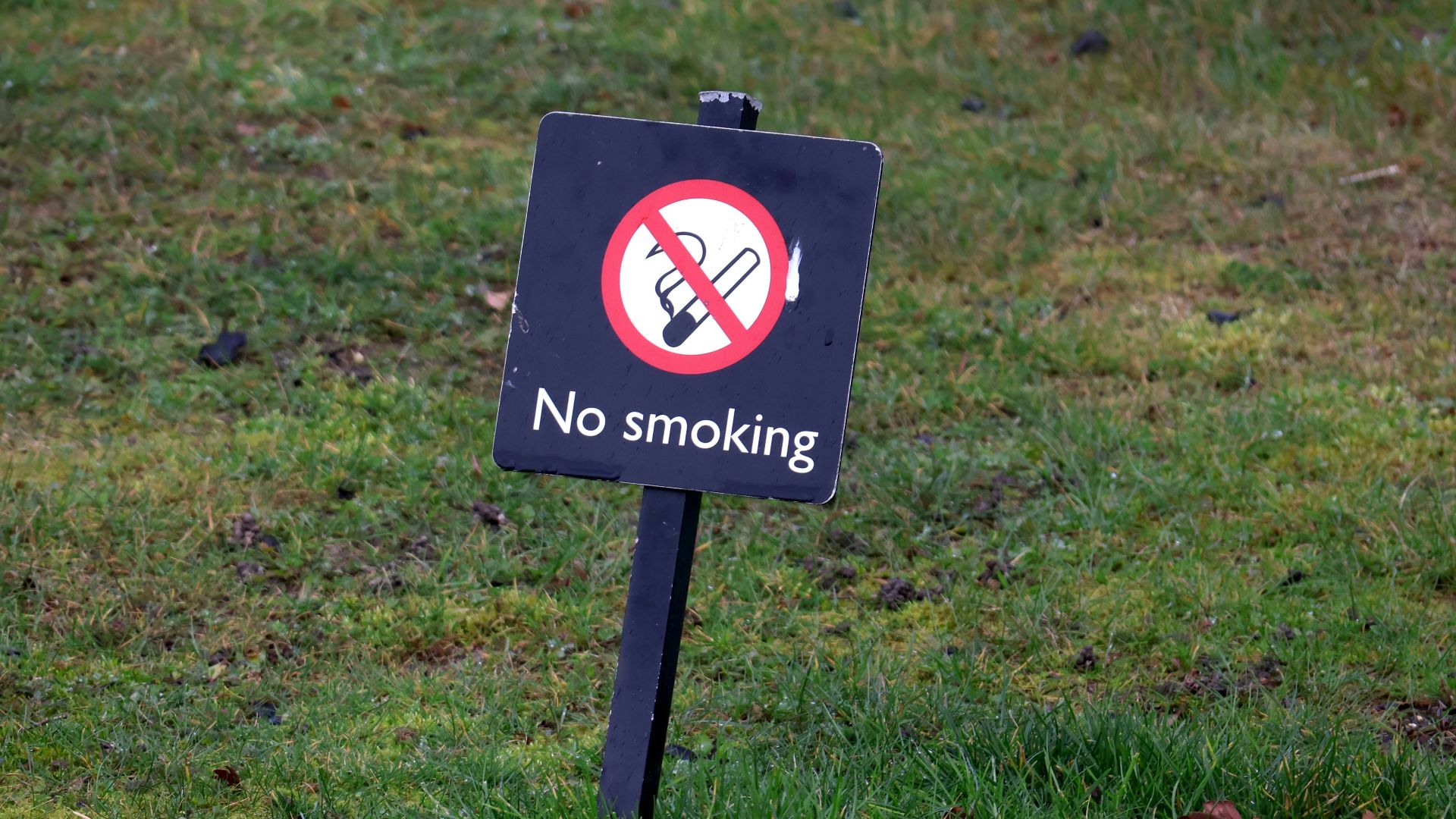 8. Tabagisme ou nicotine 