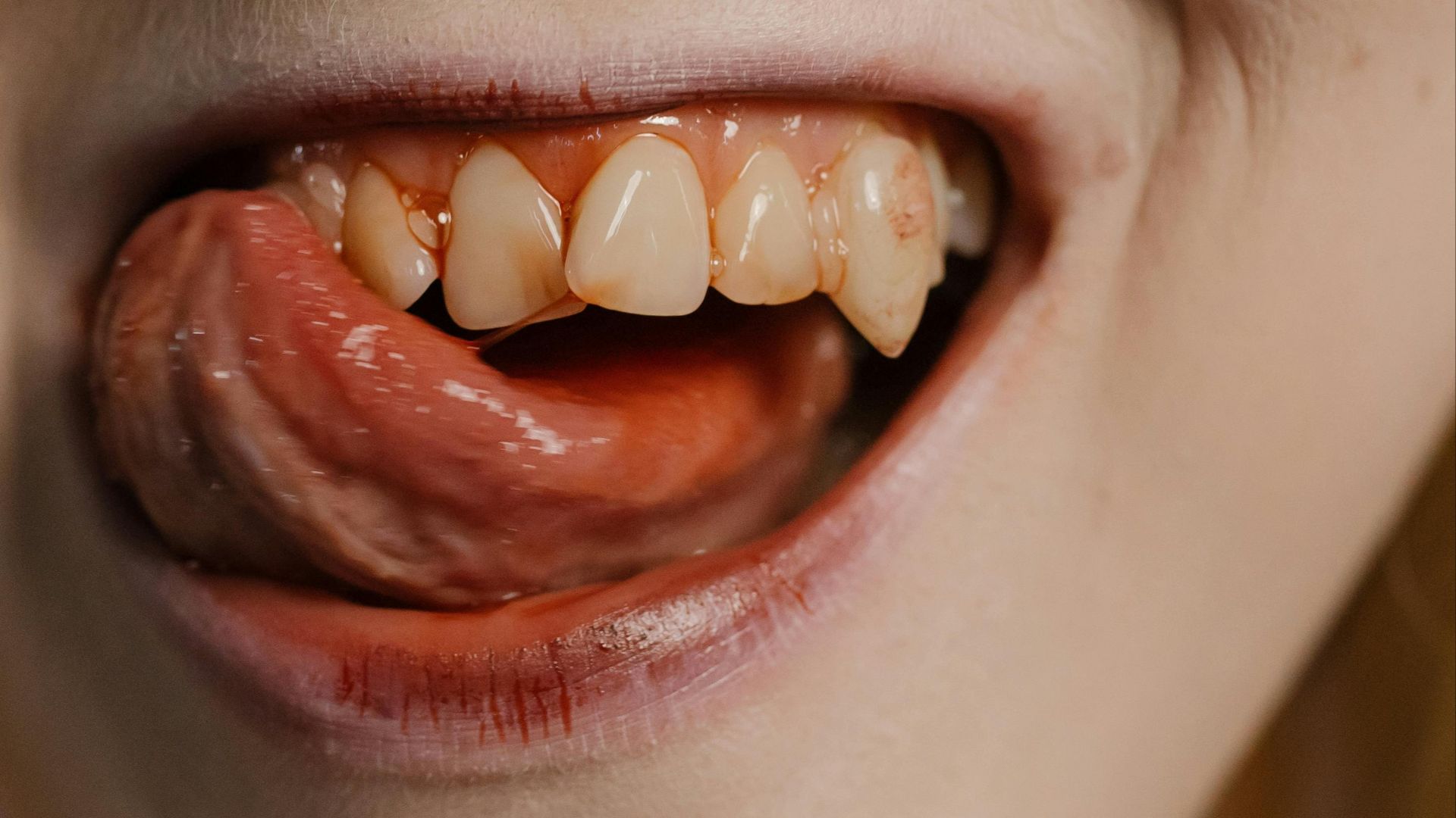 1. Les vrais vampires