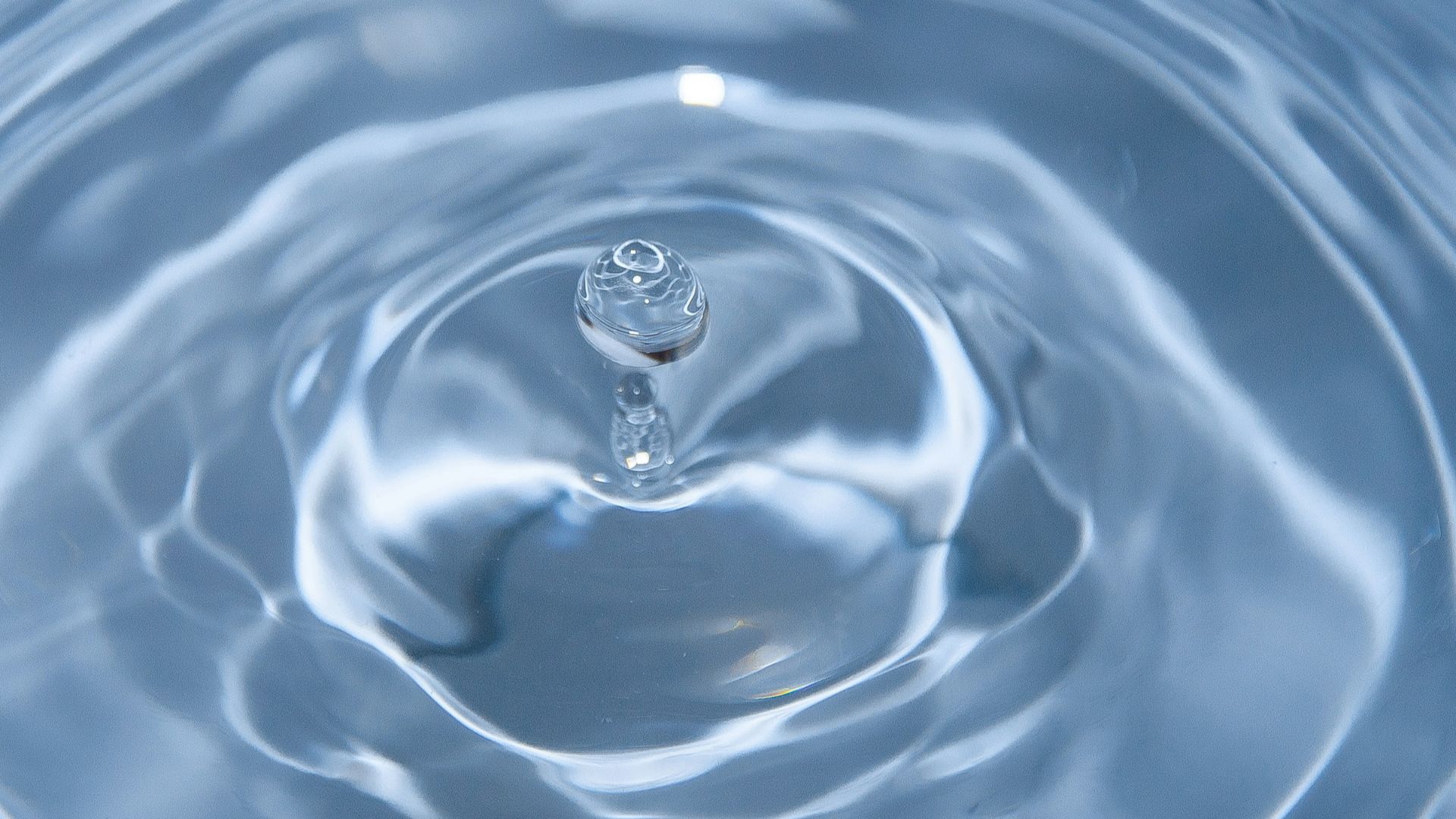 8. Allergie à l'eau