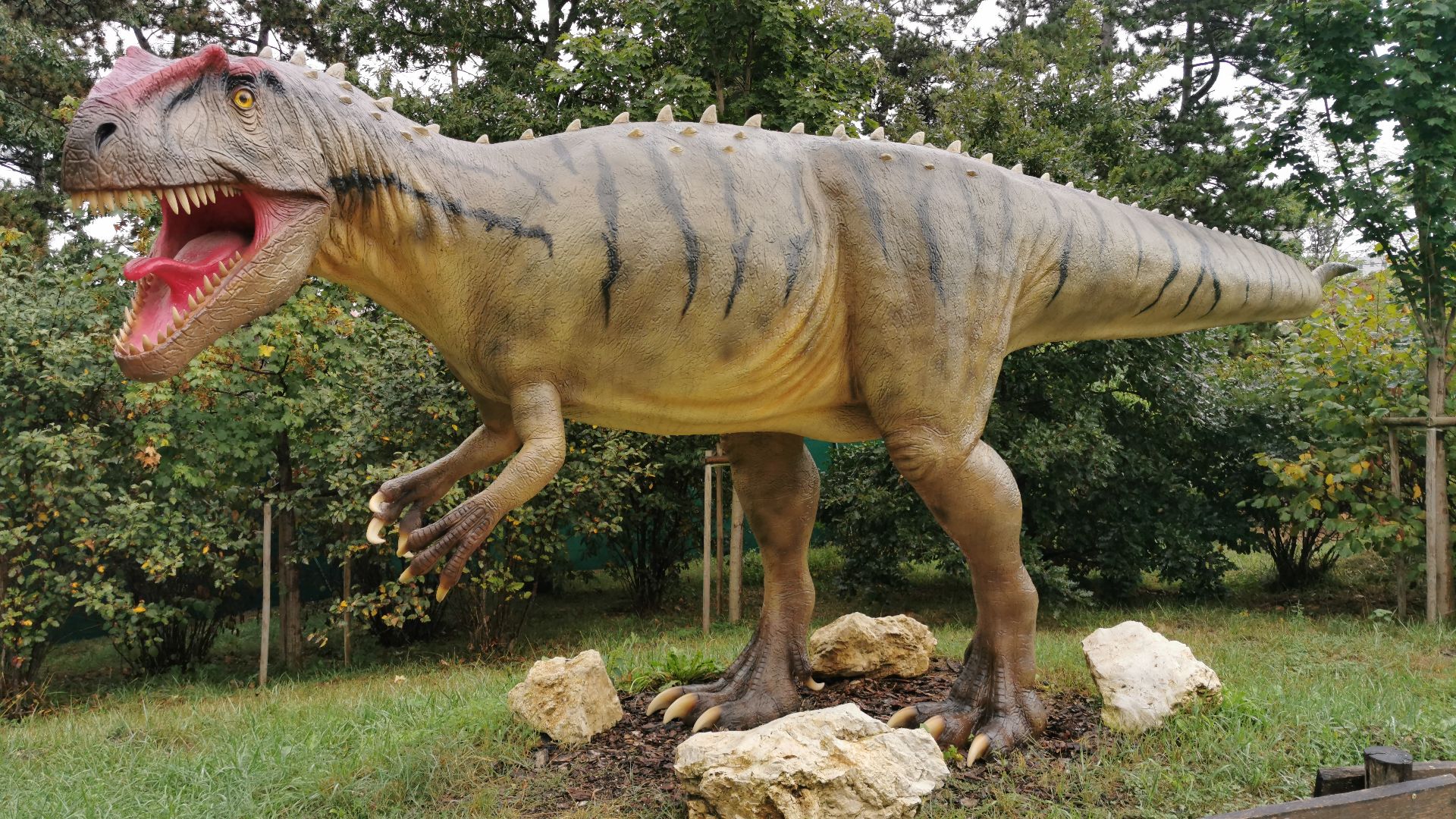 6. Allosaurus