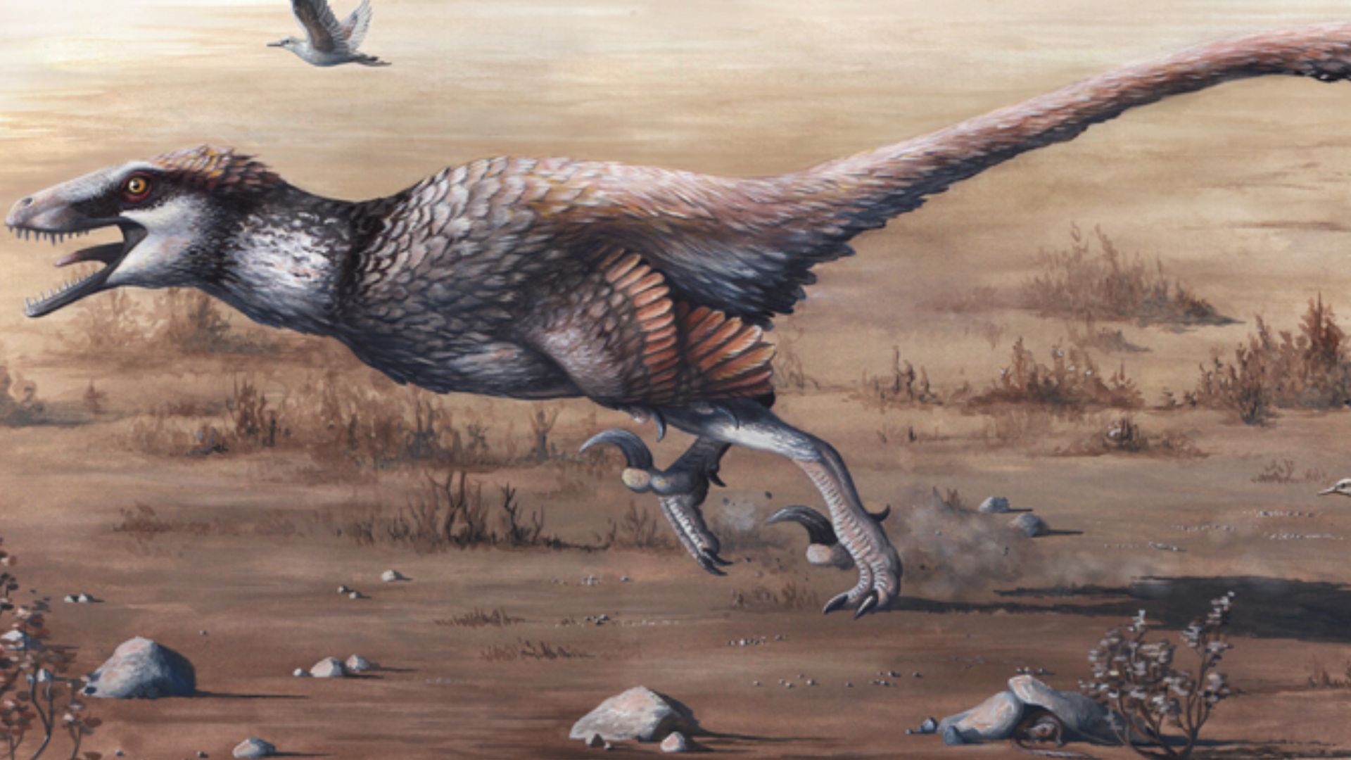 10. Dakotaraptor