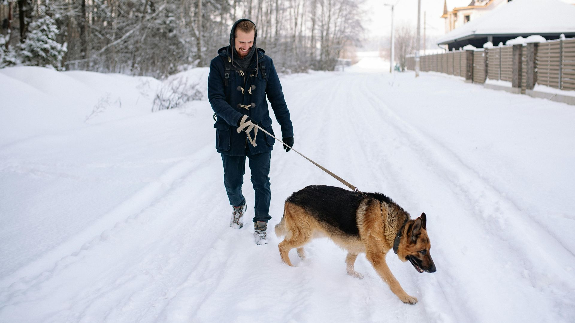 18. Promener votre chien