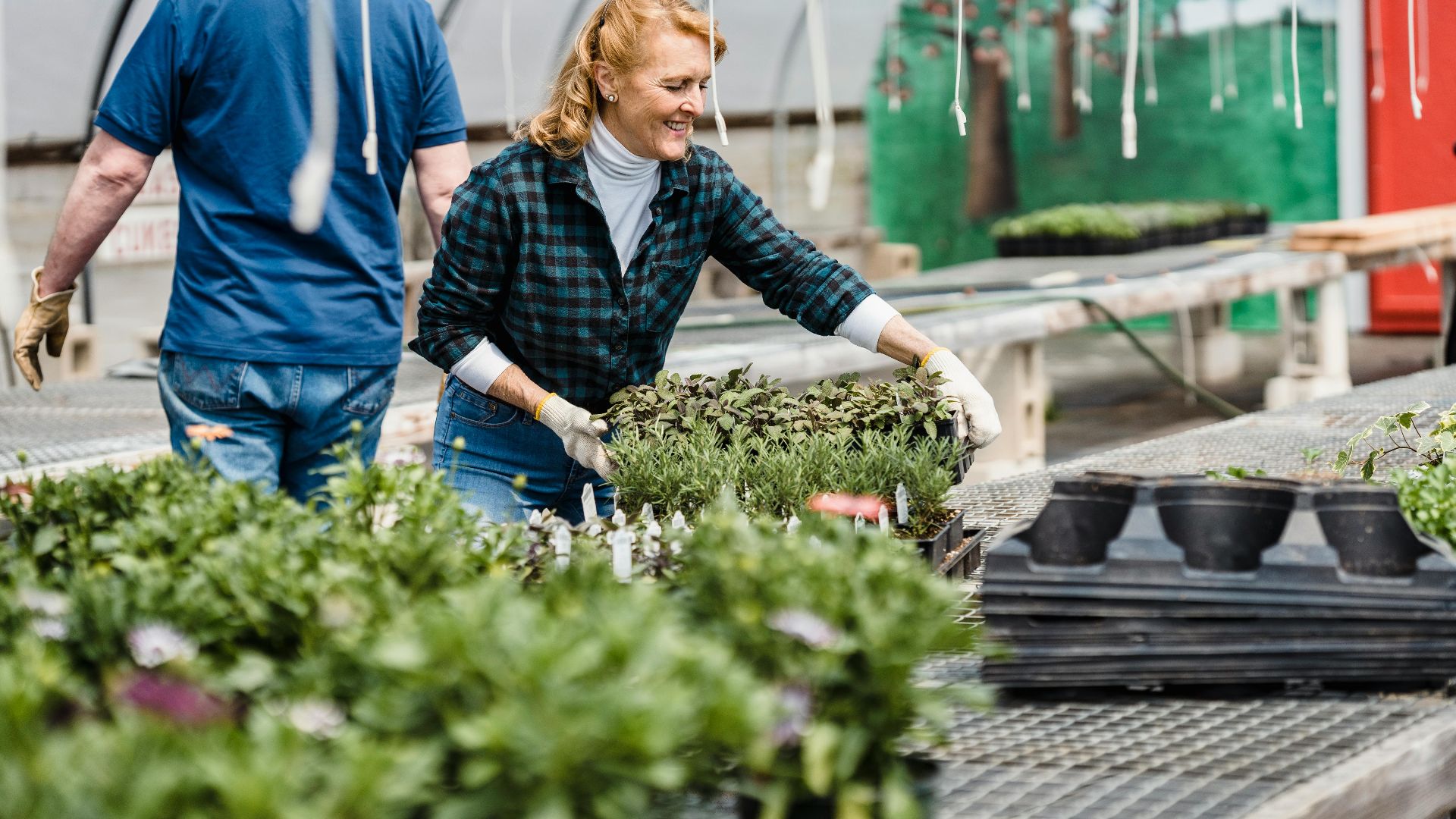 4. Cultiver des jardins de fleurs ou d'herbes aromatiques