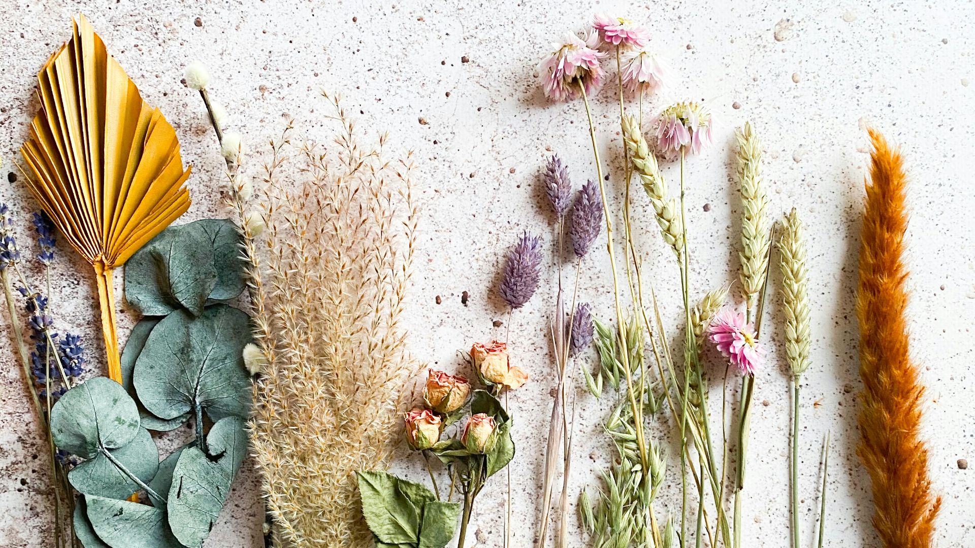 12. Fleurs séchées