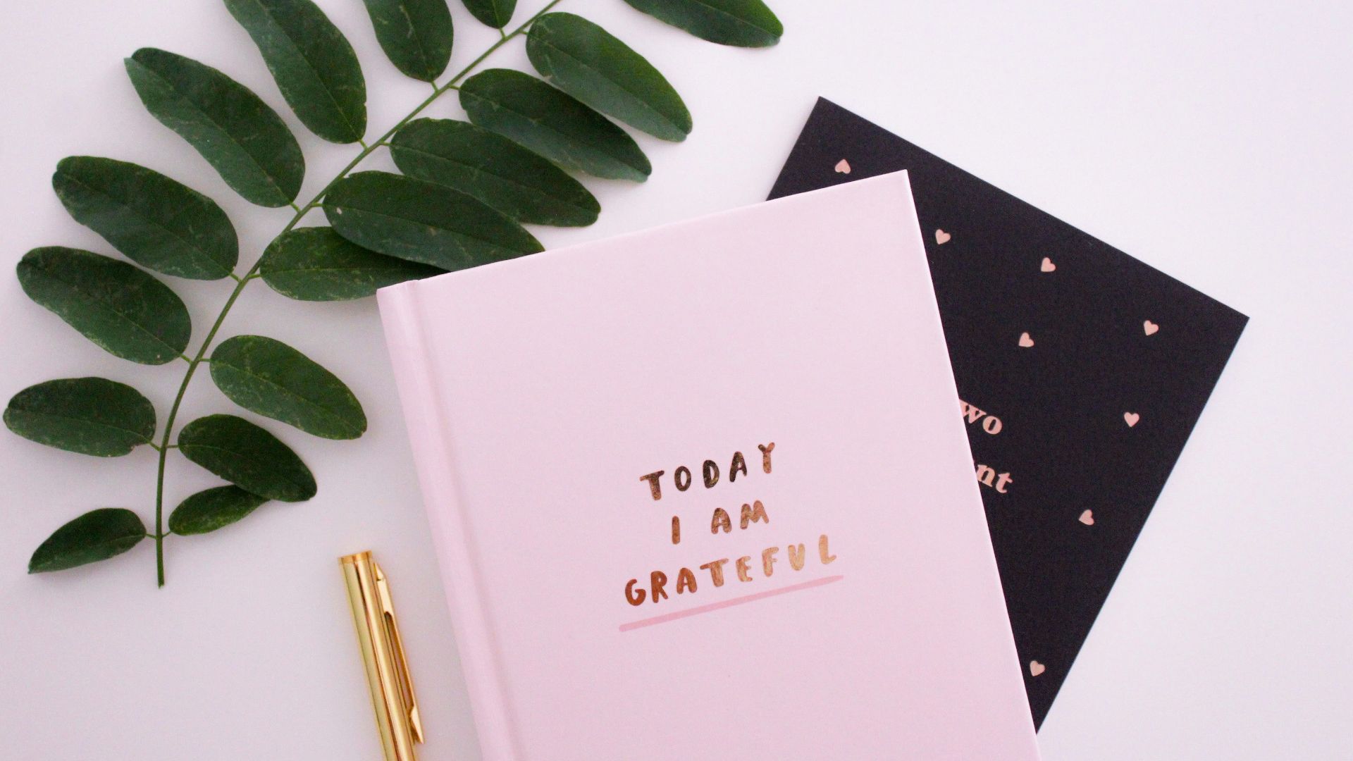 13. Pratiquer la gratitude