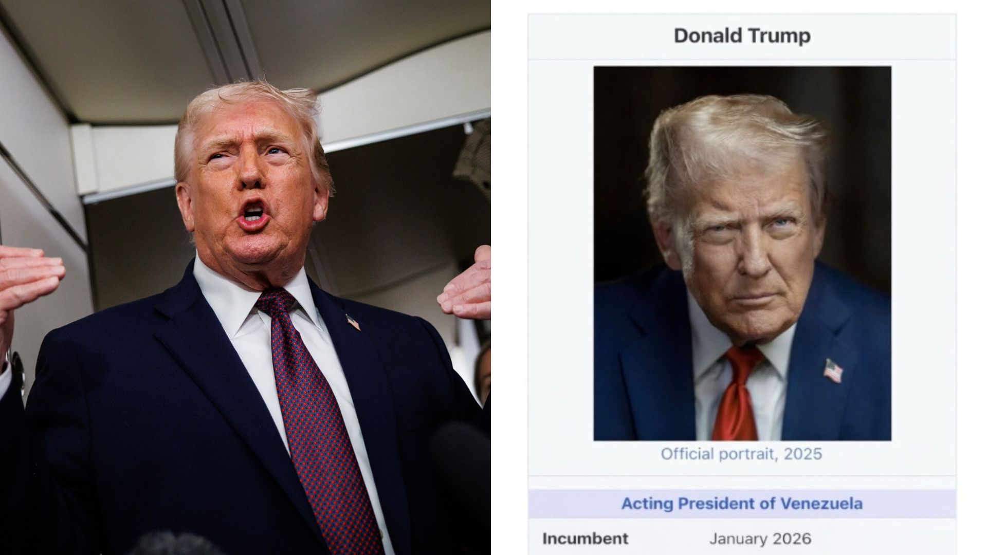 A fake Wikipedia page