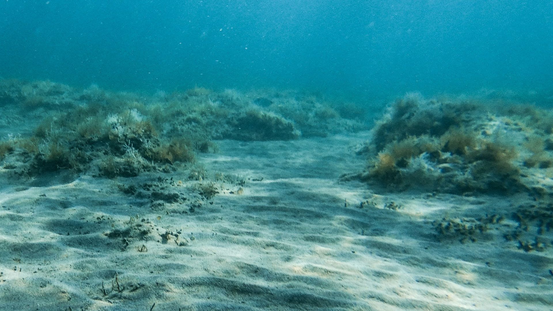 13. Bandes magnétiques sous les océans