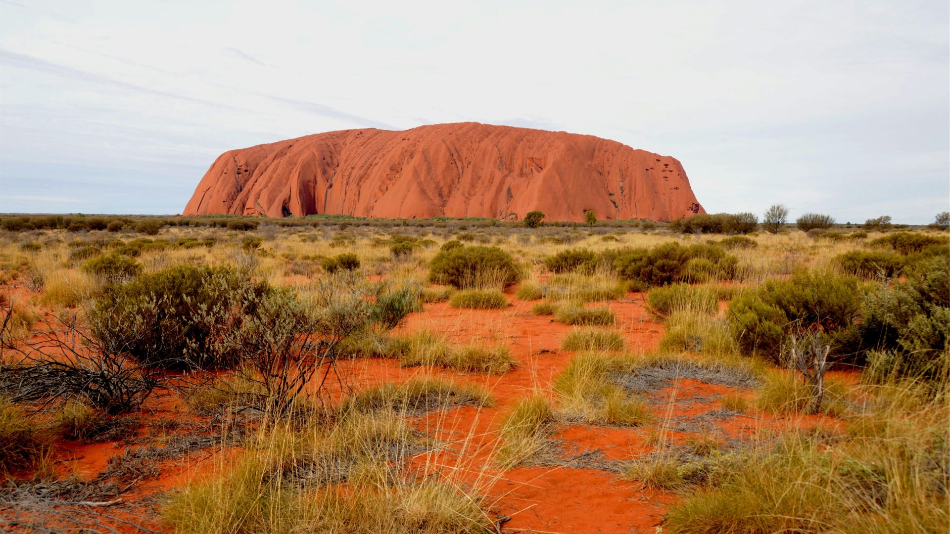 10. Déplacement des communautés aborigènes