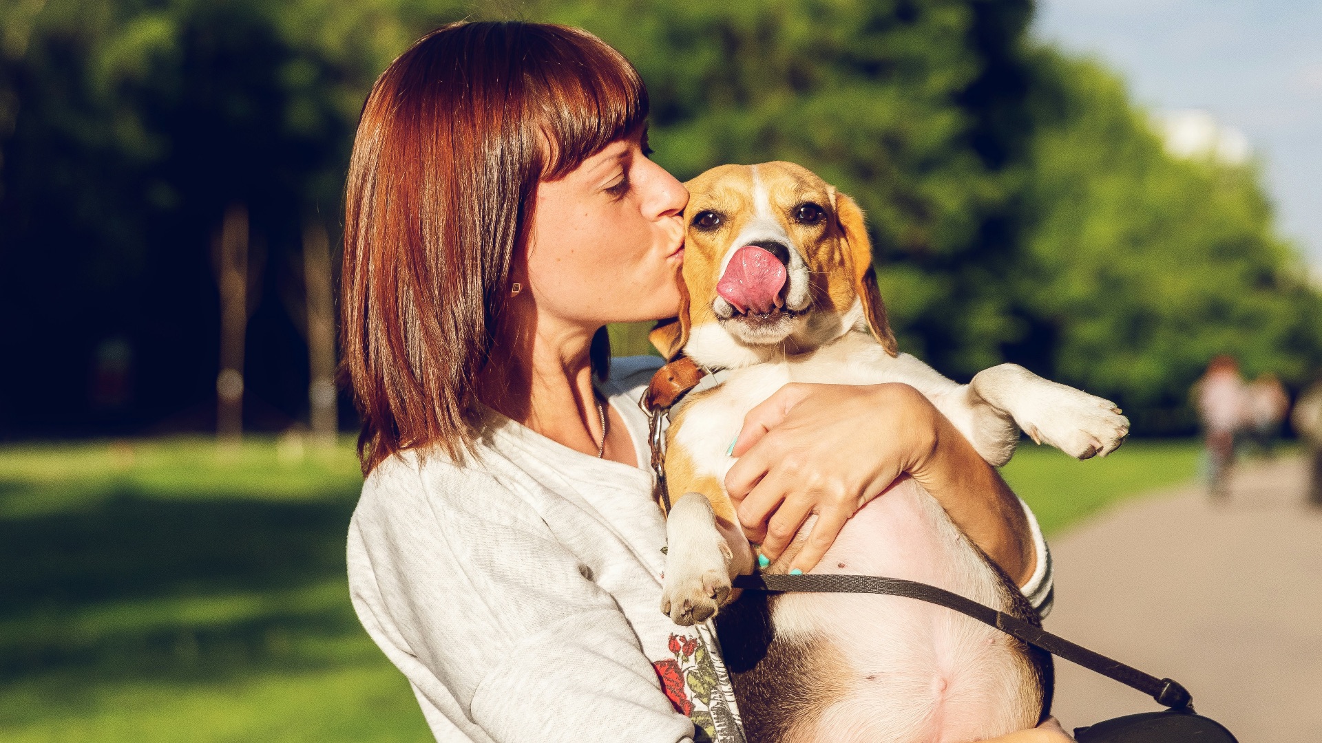 1. Photos d'animaux domestiques