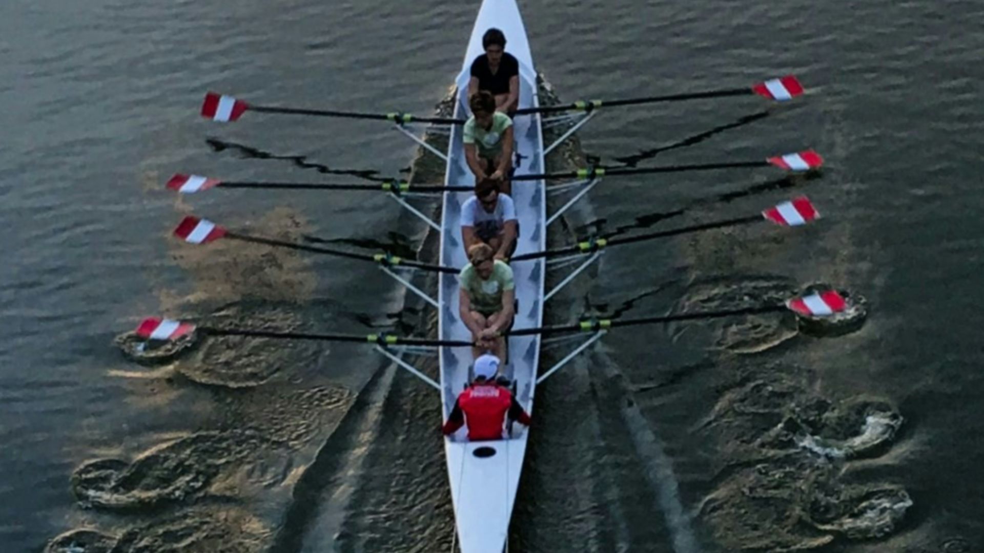5. Aviron