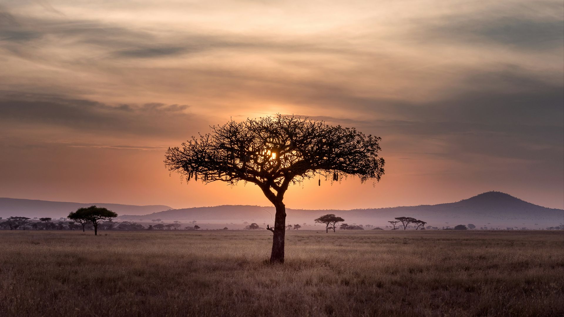 5. La Route des Jardins, Afrique du Sud
