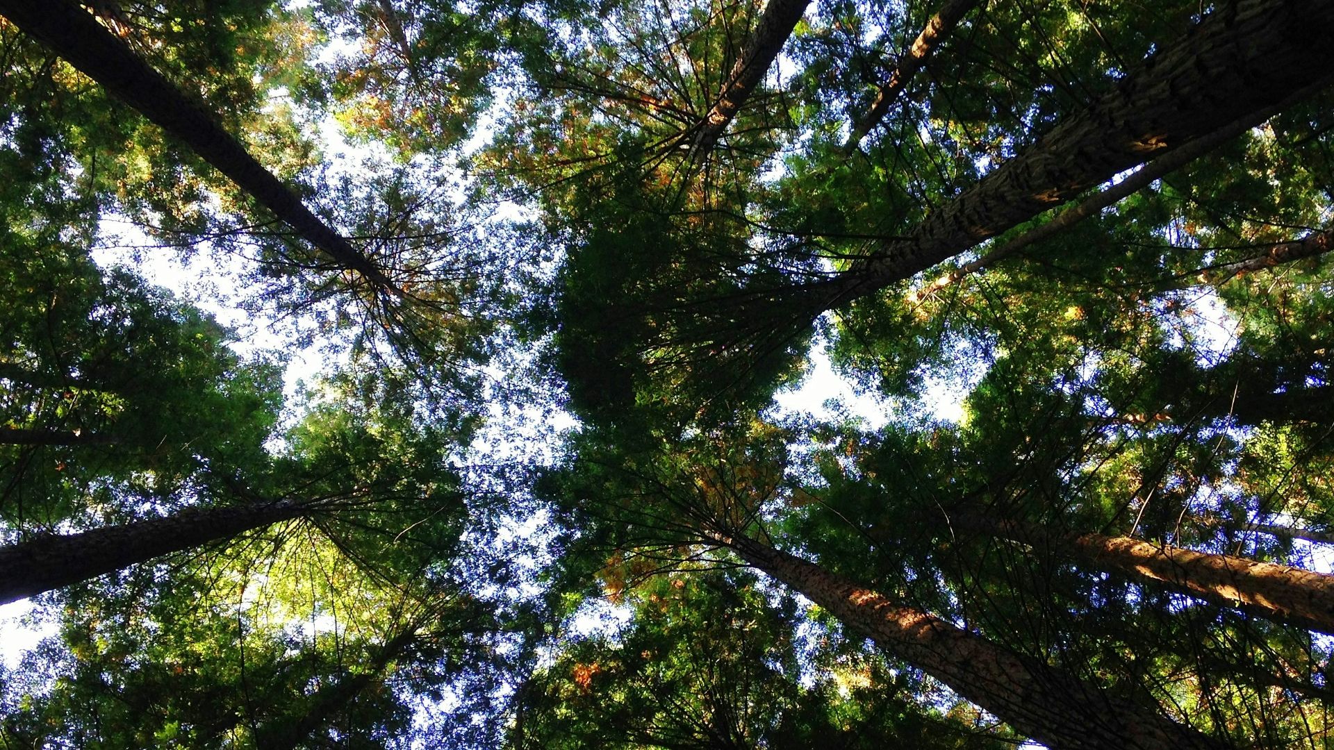 16. Les dommages environnementaux sont ignorés