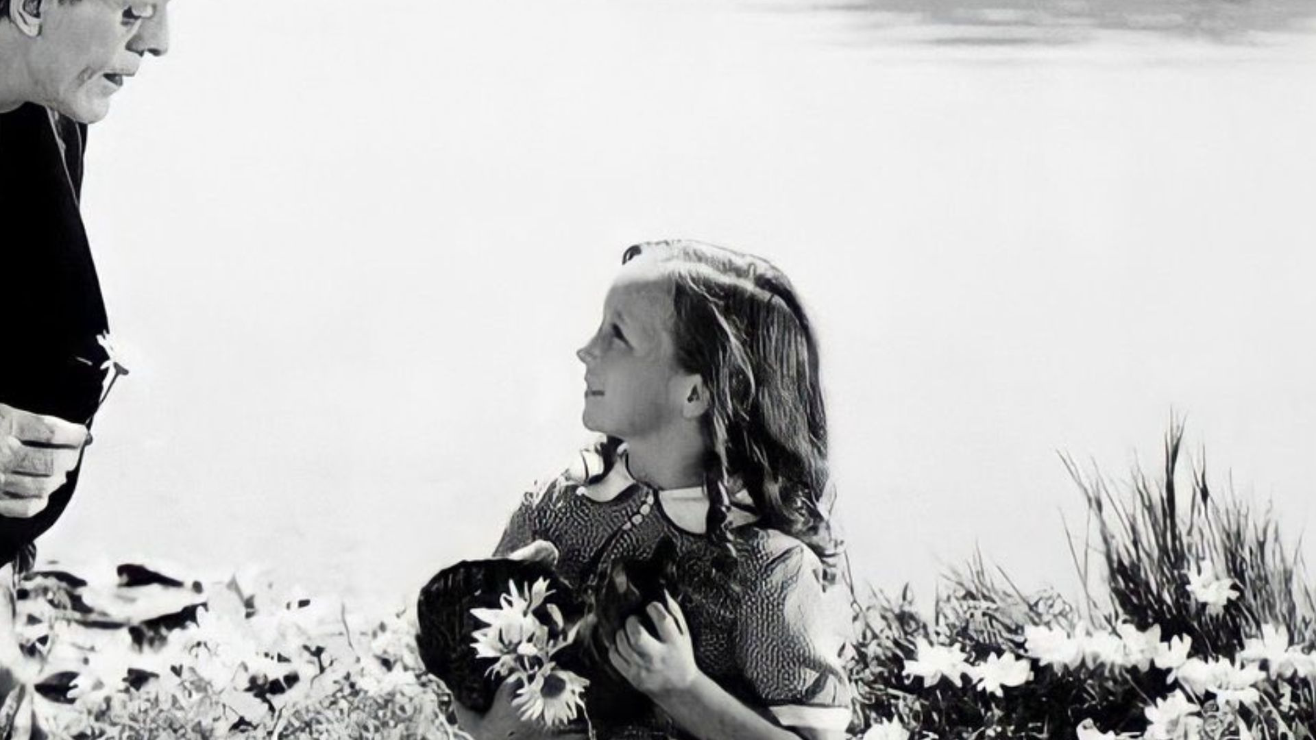 20. Il existe des dizaines de films sur Frankenstein