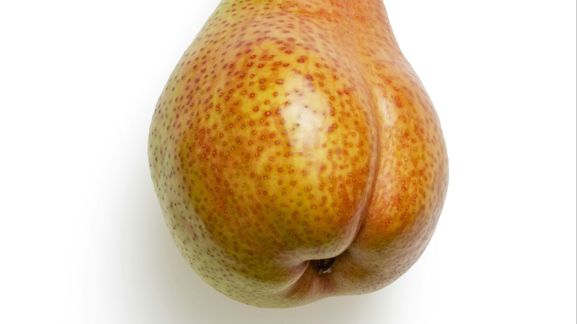 10. Anus