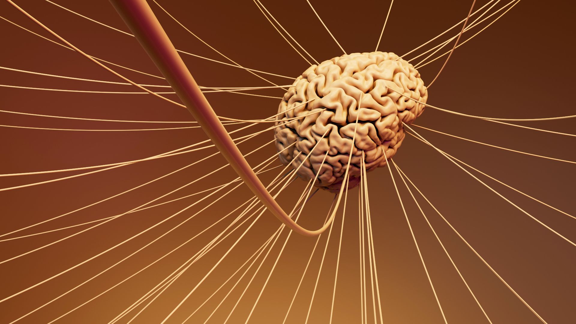 17. Un système nerveux plus calme