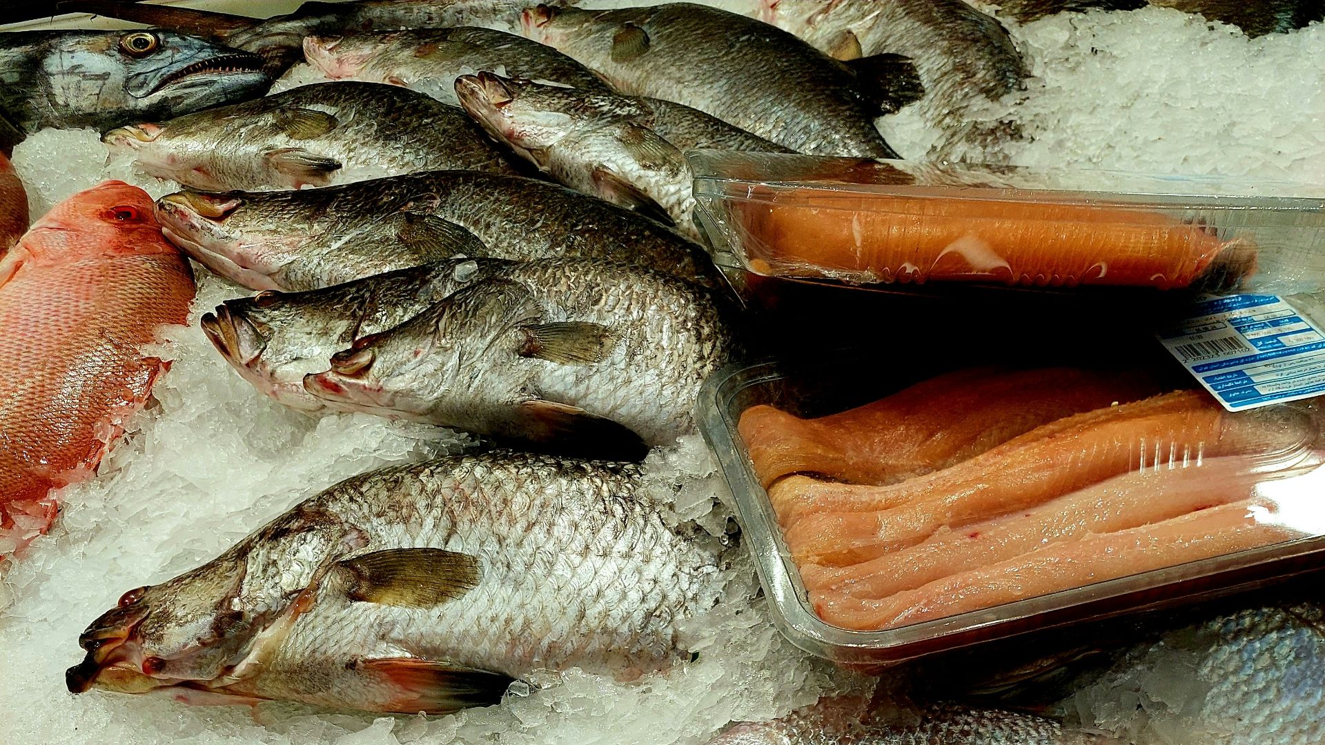 5. Poisson avec arêtes
