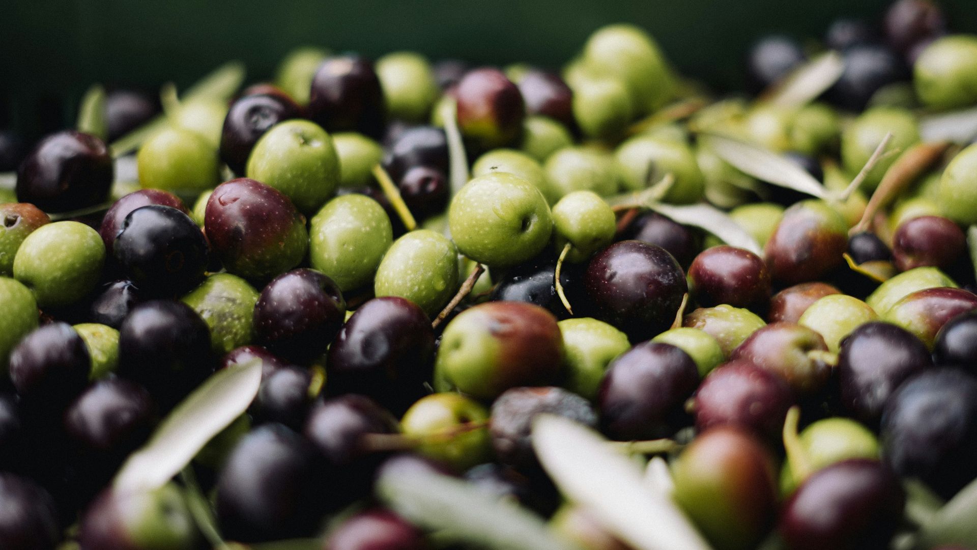 9. Olives