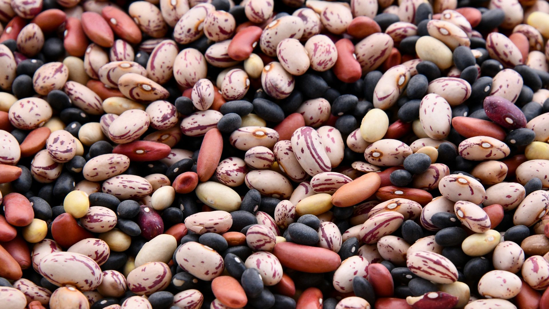14. Haricots