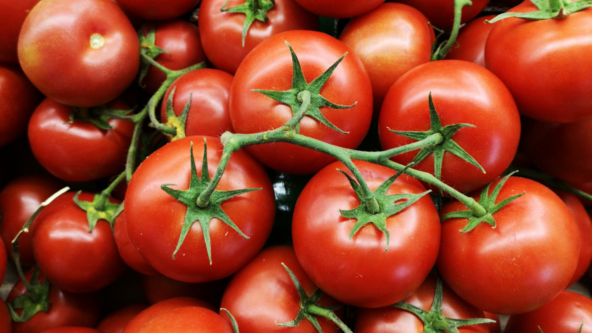 16. Tomates crues