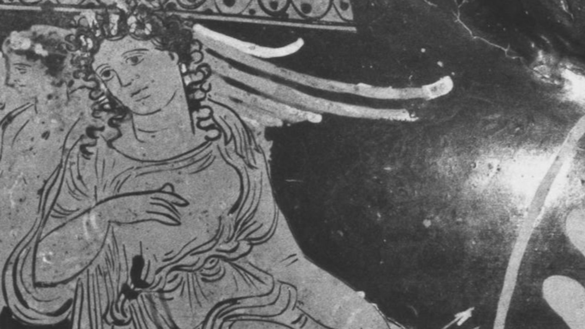 10. Zelus, rivalité féroce