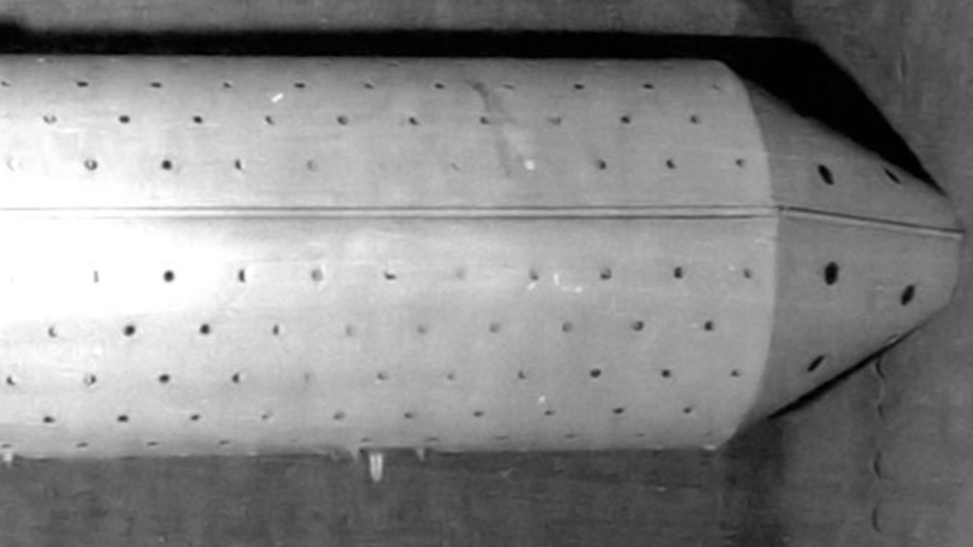 16. La bombe chauve-souris