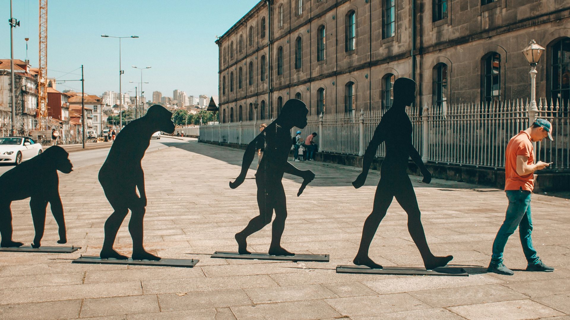 3. Théorie de l'évolution