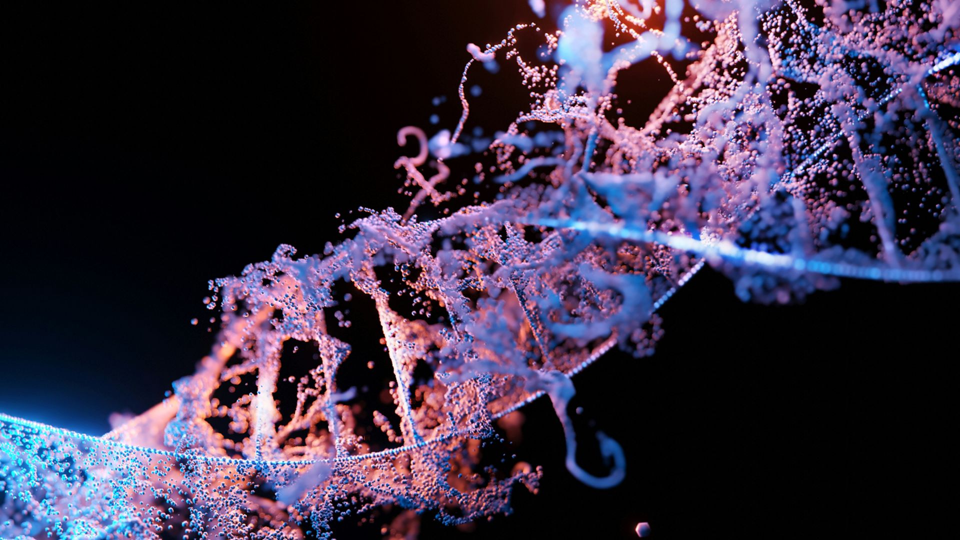 7. La double hélice de l'ADN