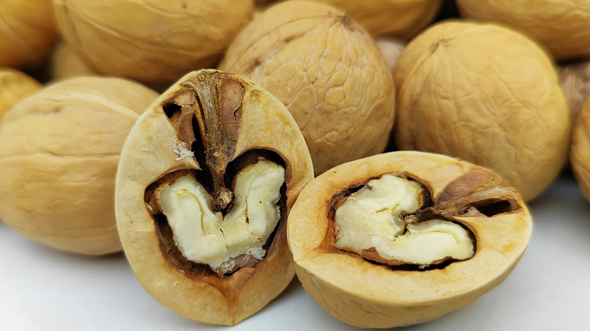 12. Huile de noix de macadamia