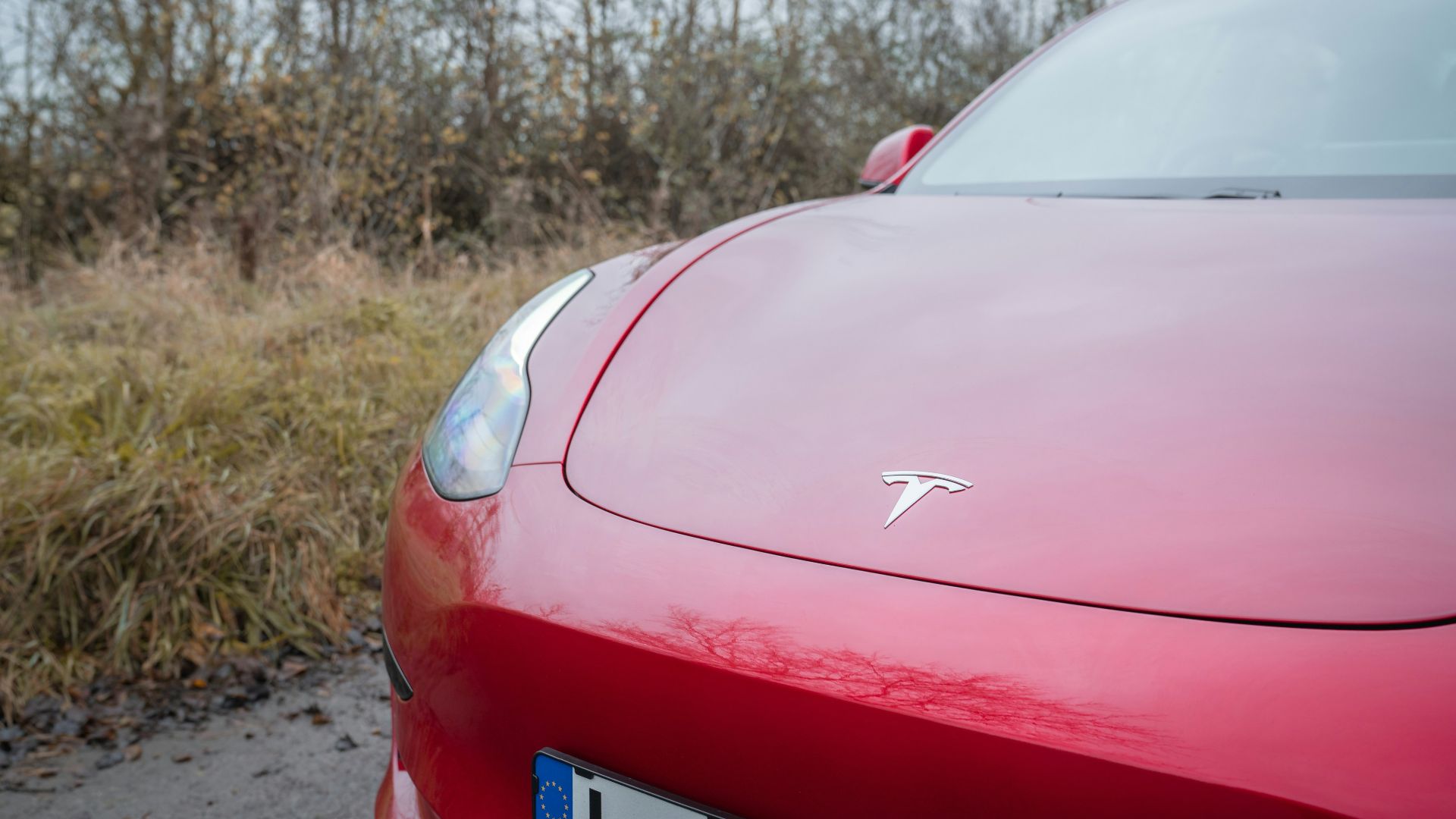 7. Les nouvelles marques de véhicules électriques cool survivraient grâce à leur image et leur design