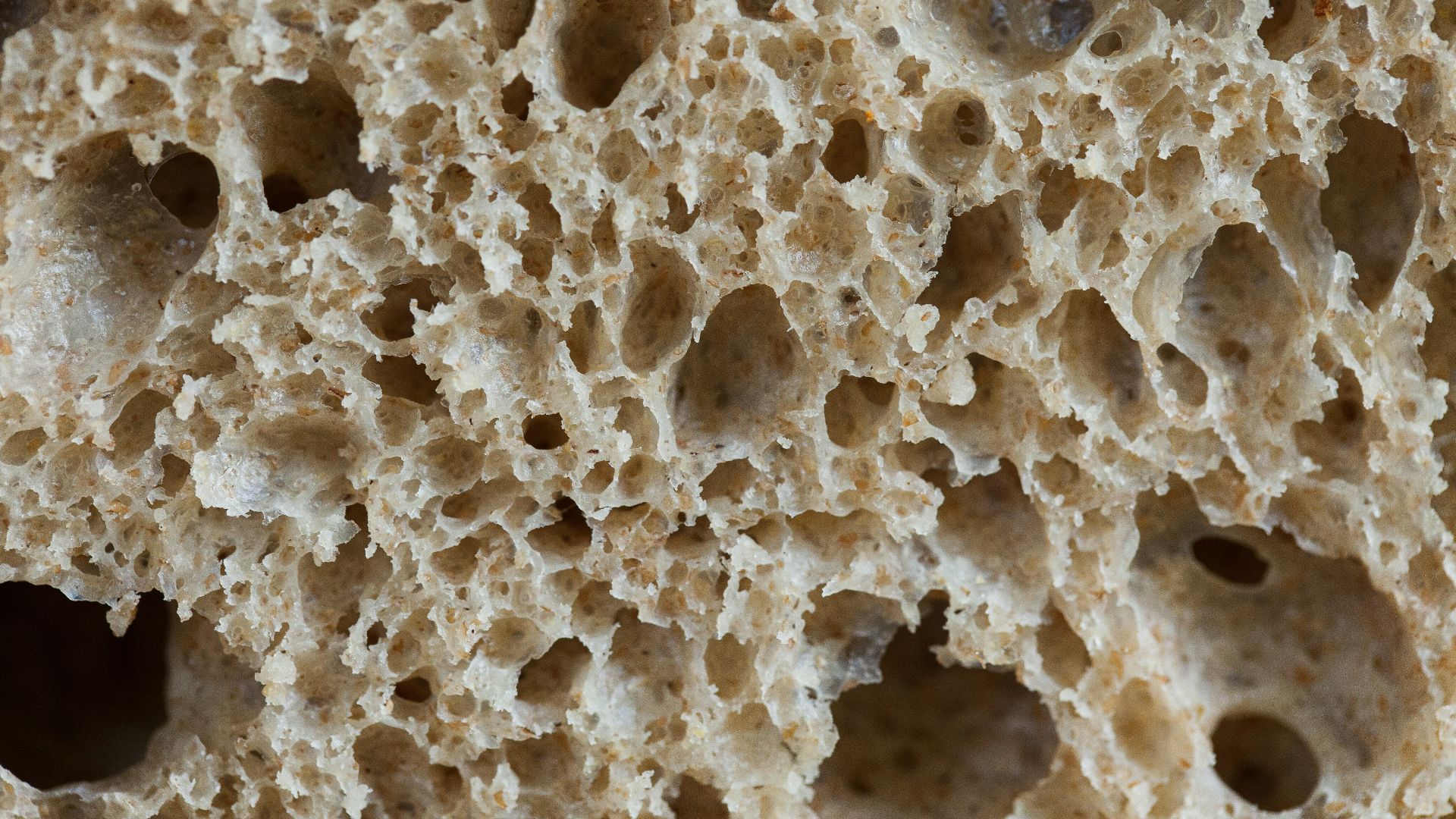 14. Gluten