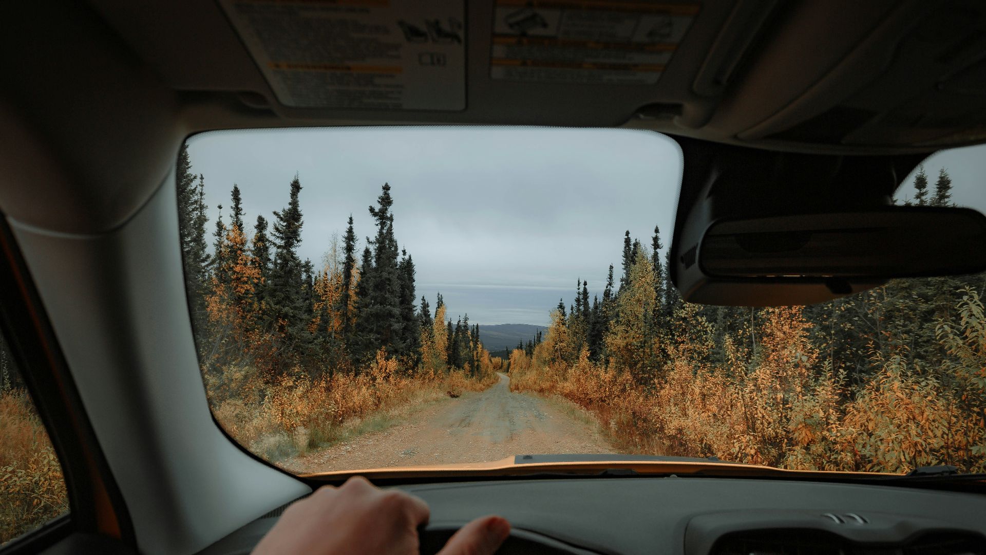 3. Alaska : ne pas attacher un chien sur le toit