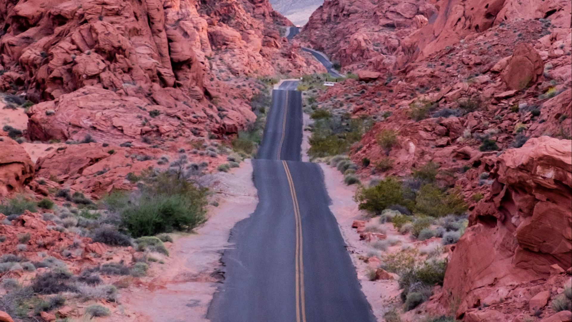 19. Nevada : la célèbre « interdiction de rouler à dos de chameau » est souvent mal interprétée
