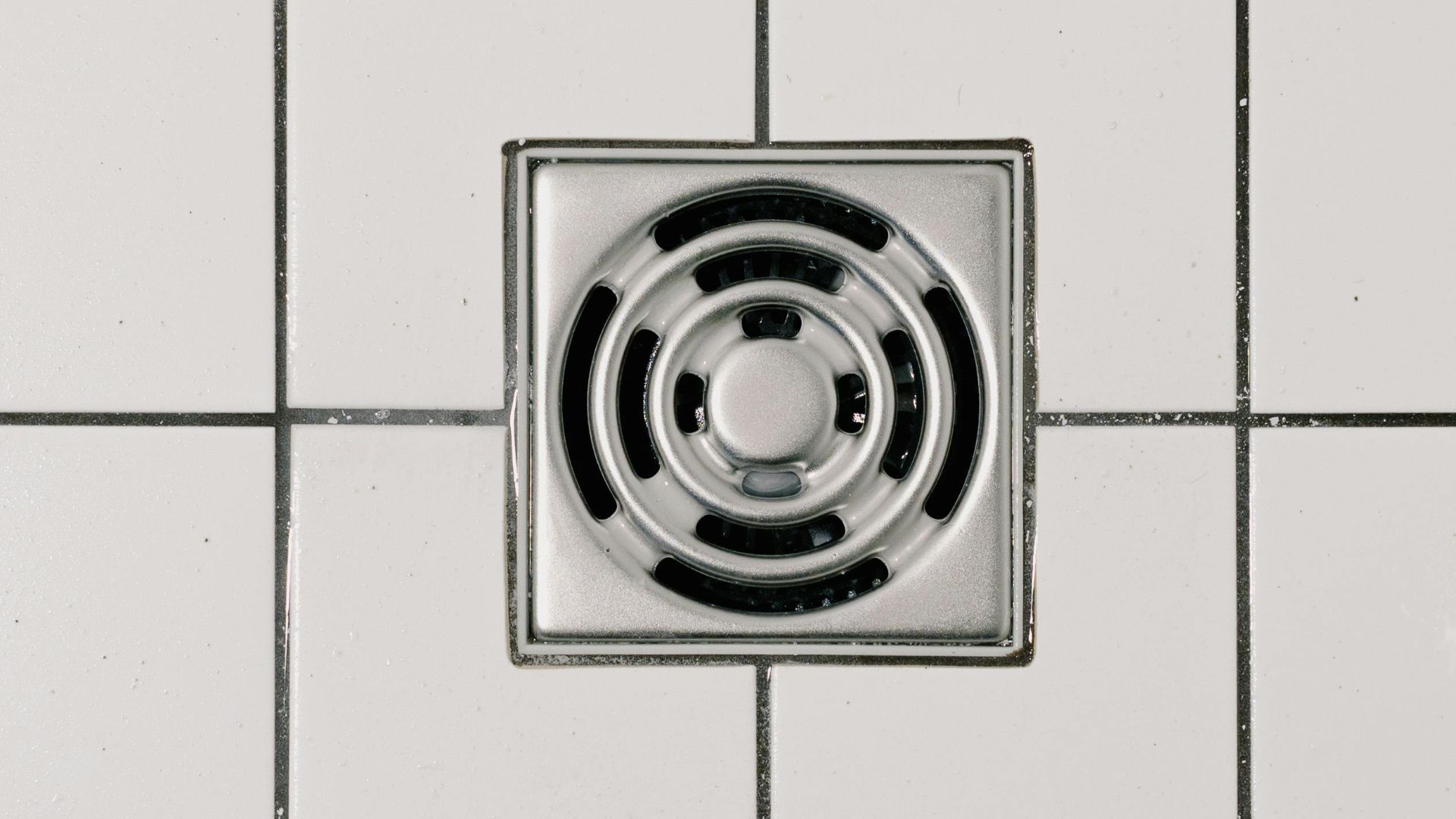 11. Drain Strain
