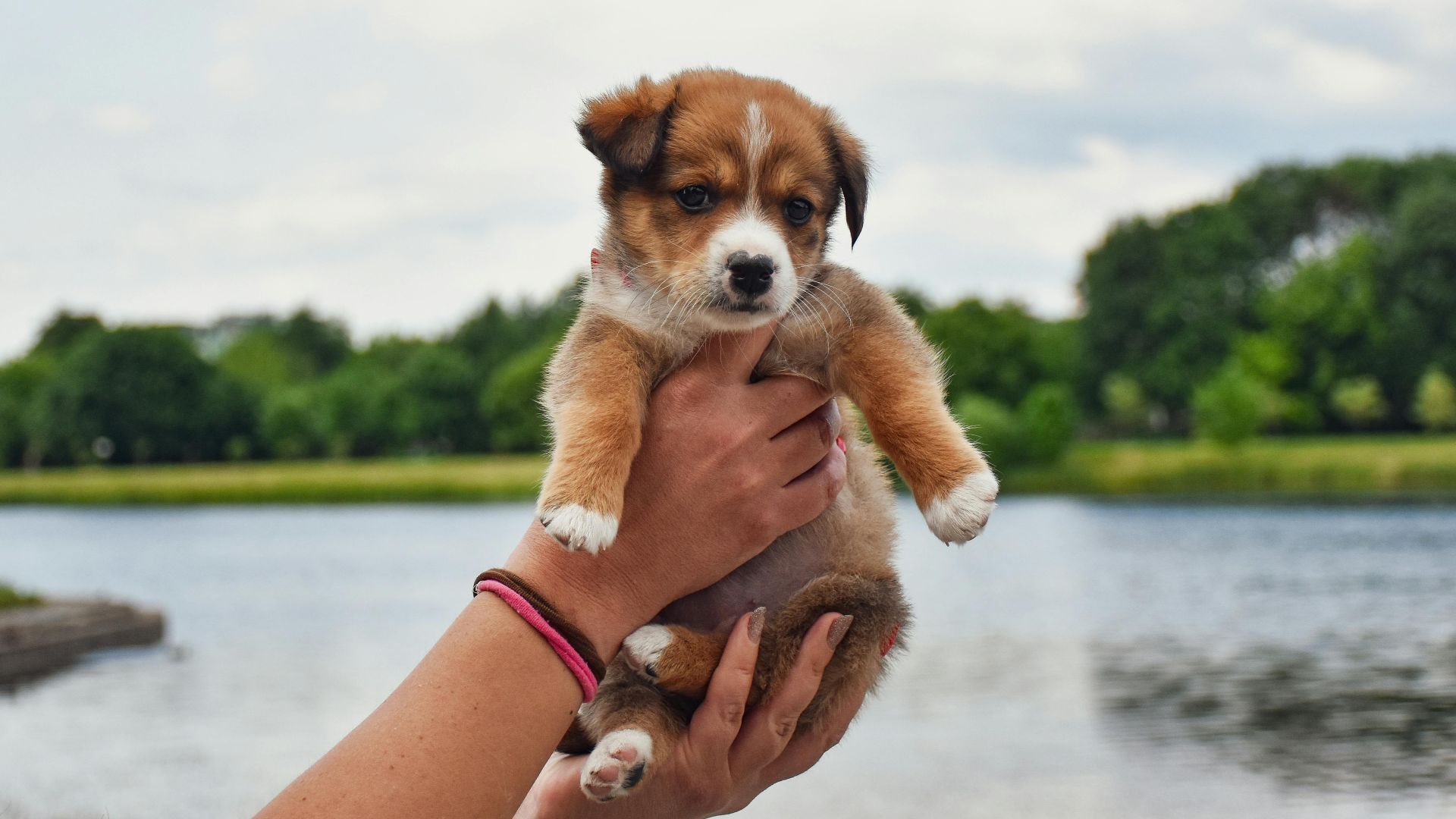 8. Les adversaires ont appris à le distraire