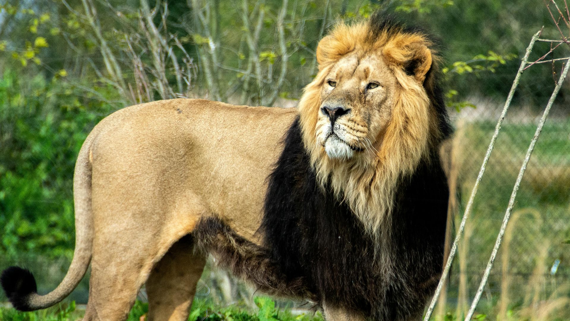 10. Une imprudence qui dépasse le cadre du baseball