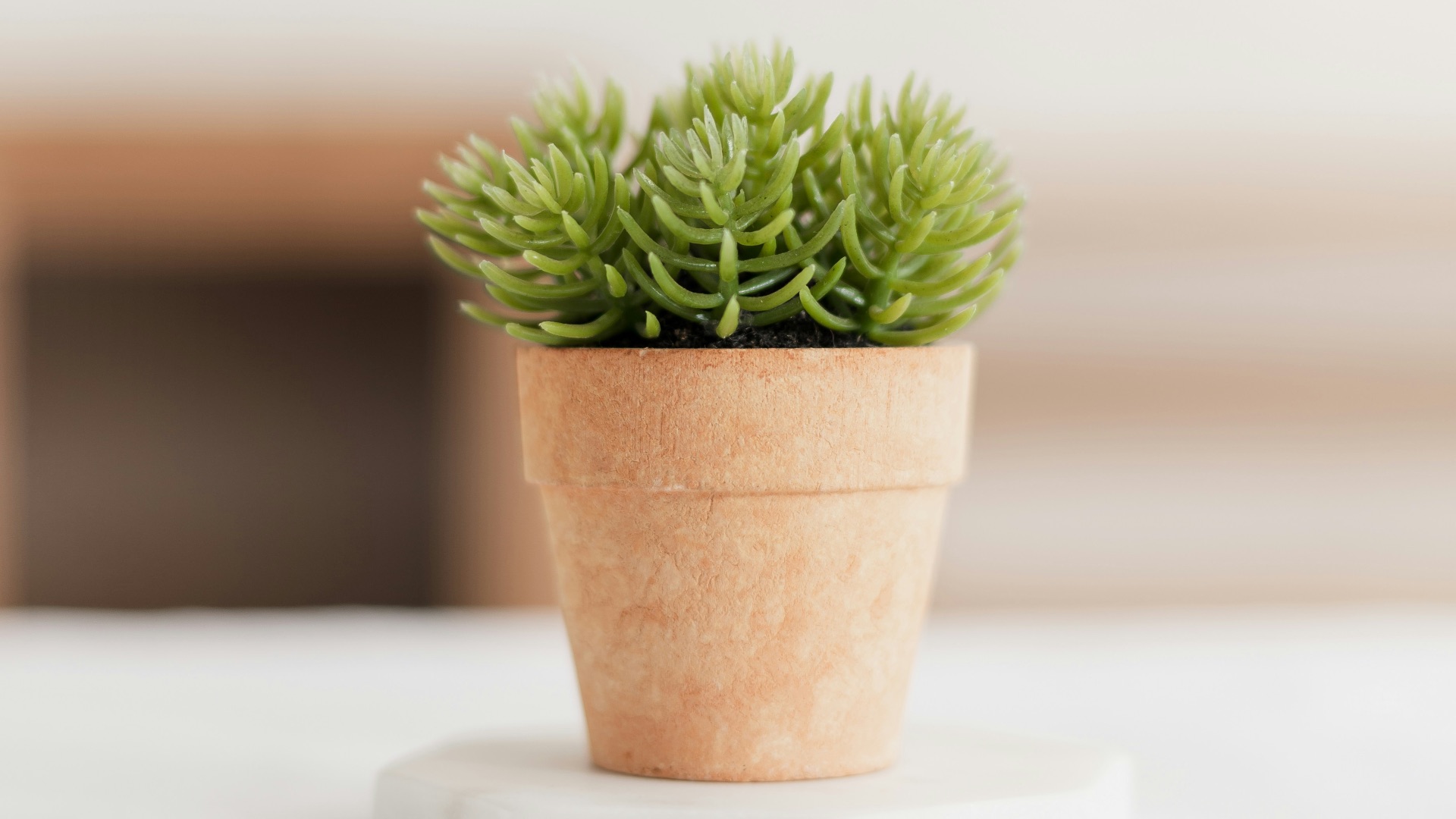 1. Commencez avec un seul pot que vous pouvez réellement gérer
