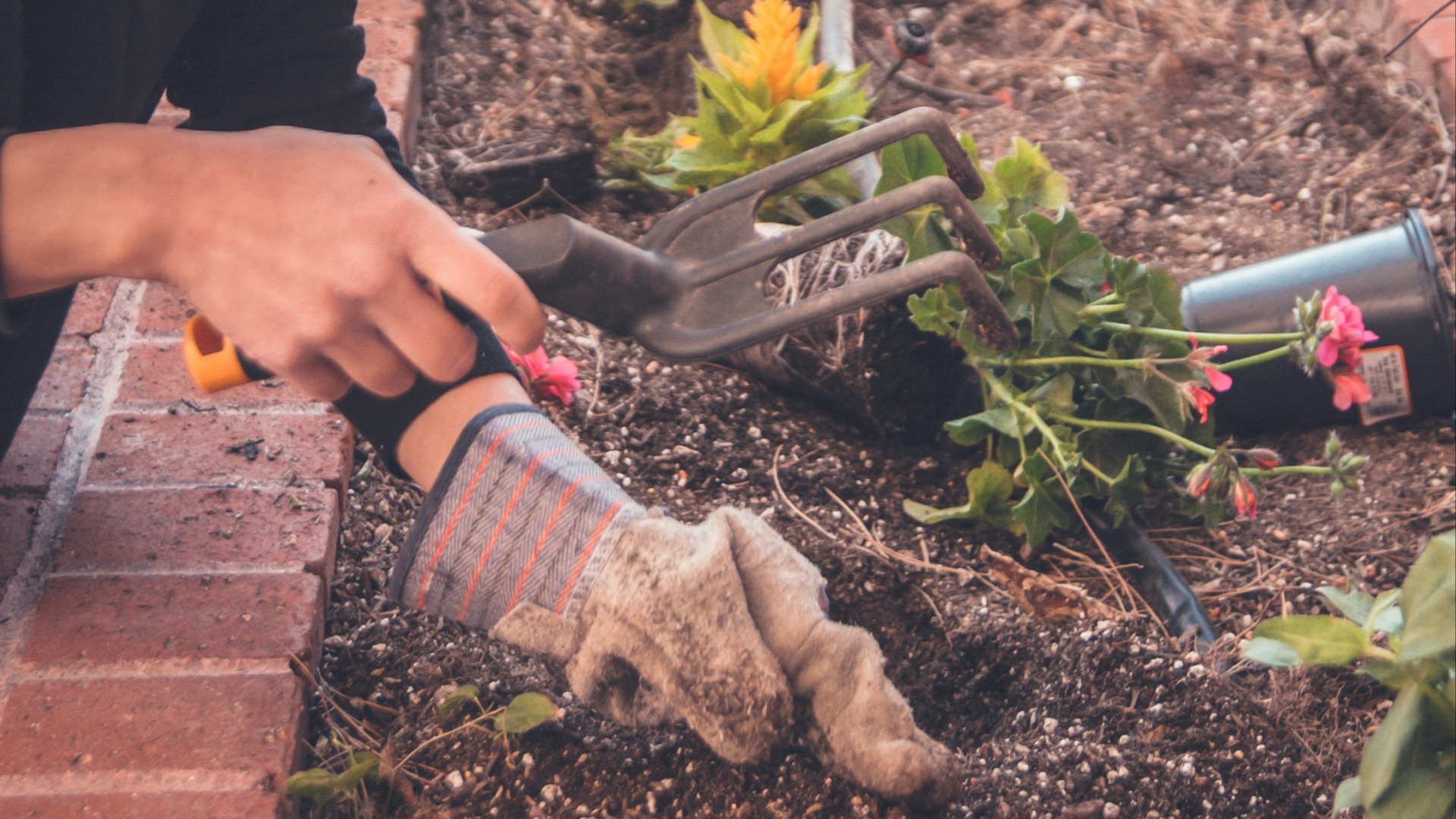 9. Faites un petit plan avant de planter