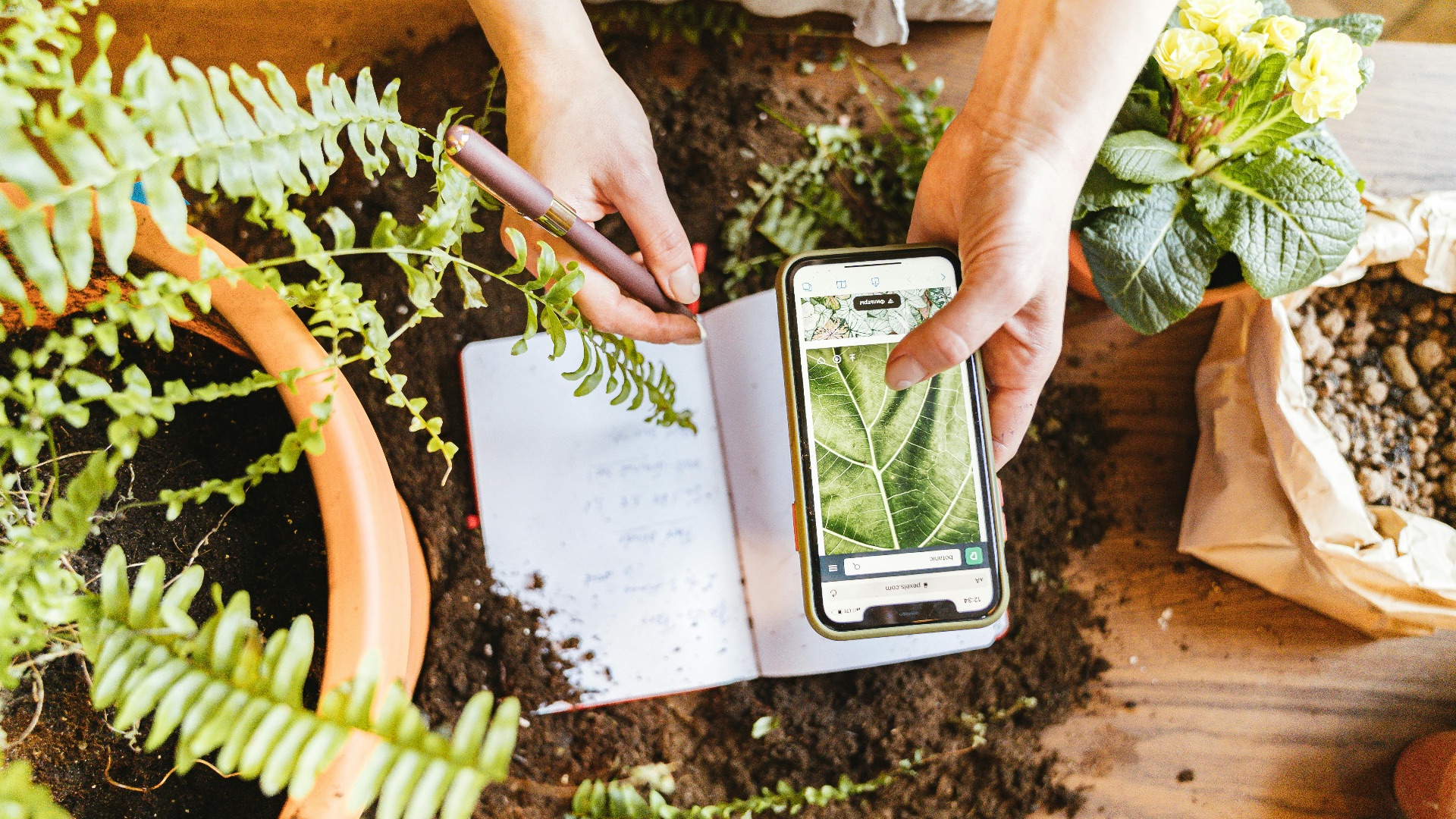 10. Suivez vos progrès pour vous améliorer rapidement