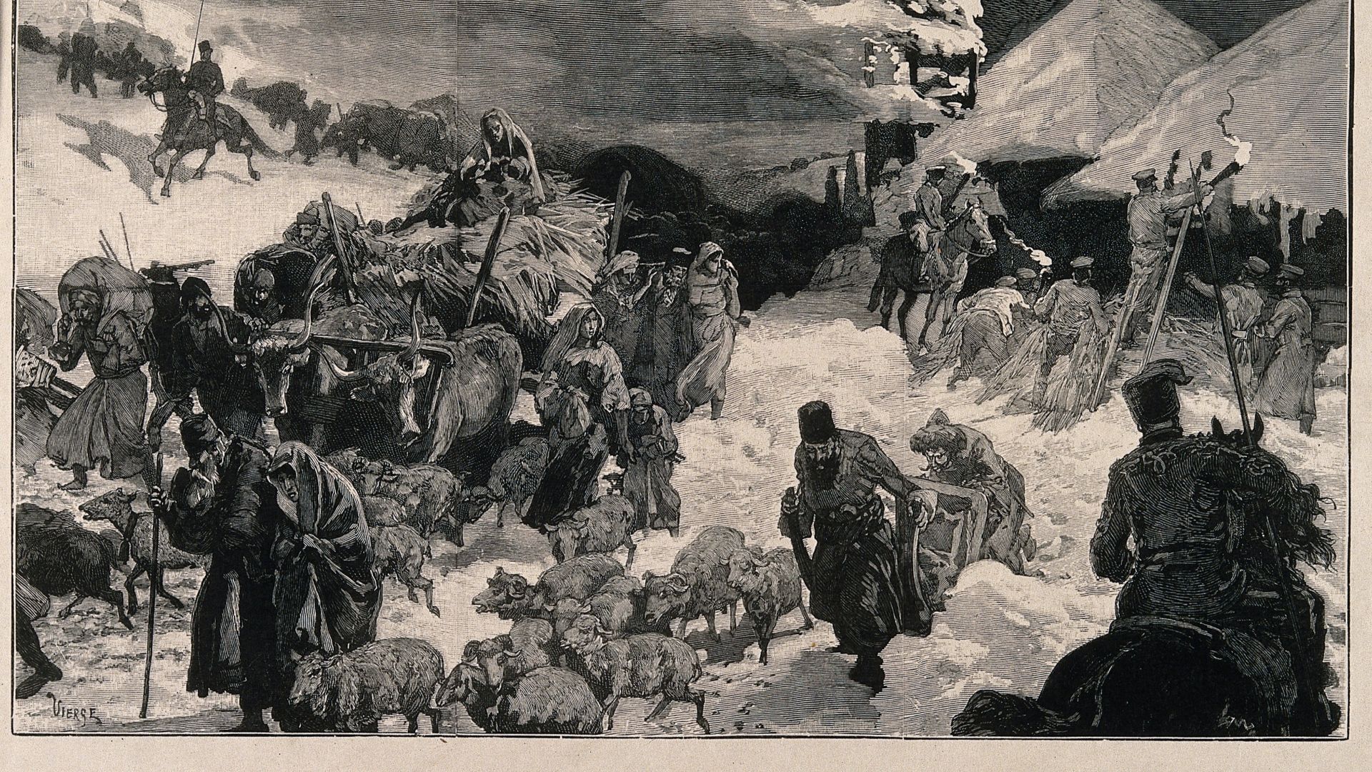 3. La troisième pandémie de peste