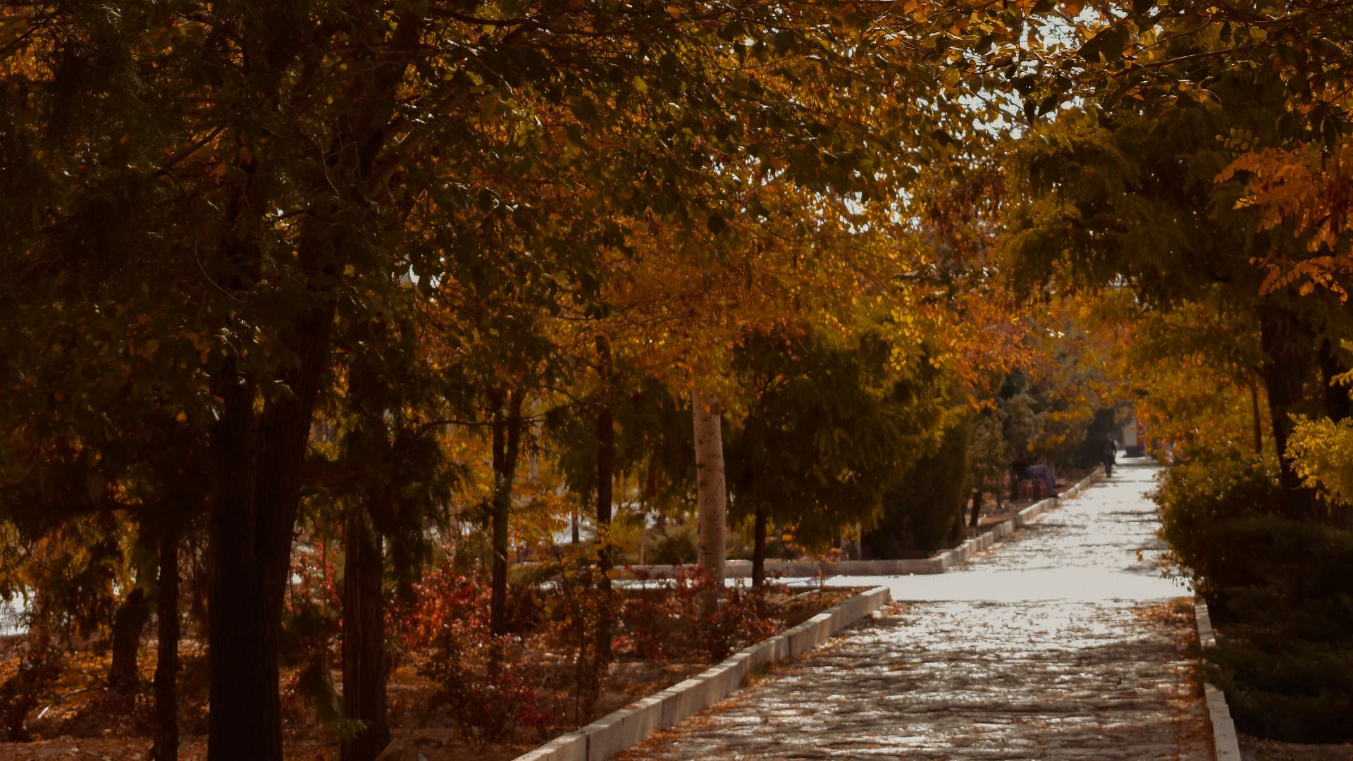 6. Meilleur contrôle par temps froid