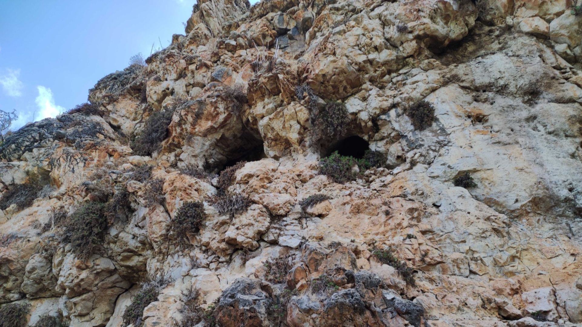 6. Ornements en coquillages marins de la grotte de Kebara