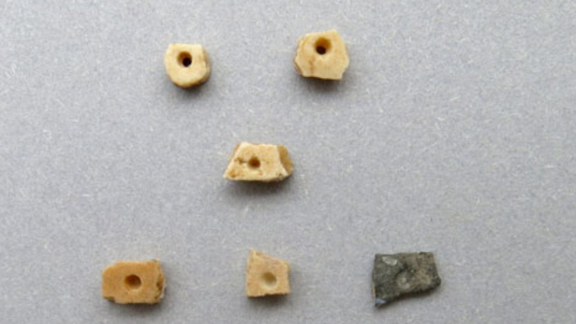 10. Perles en coquille d'autruche Enkapune Ya Muto