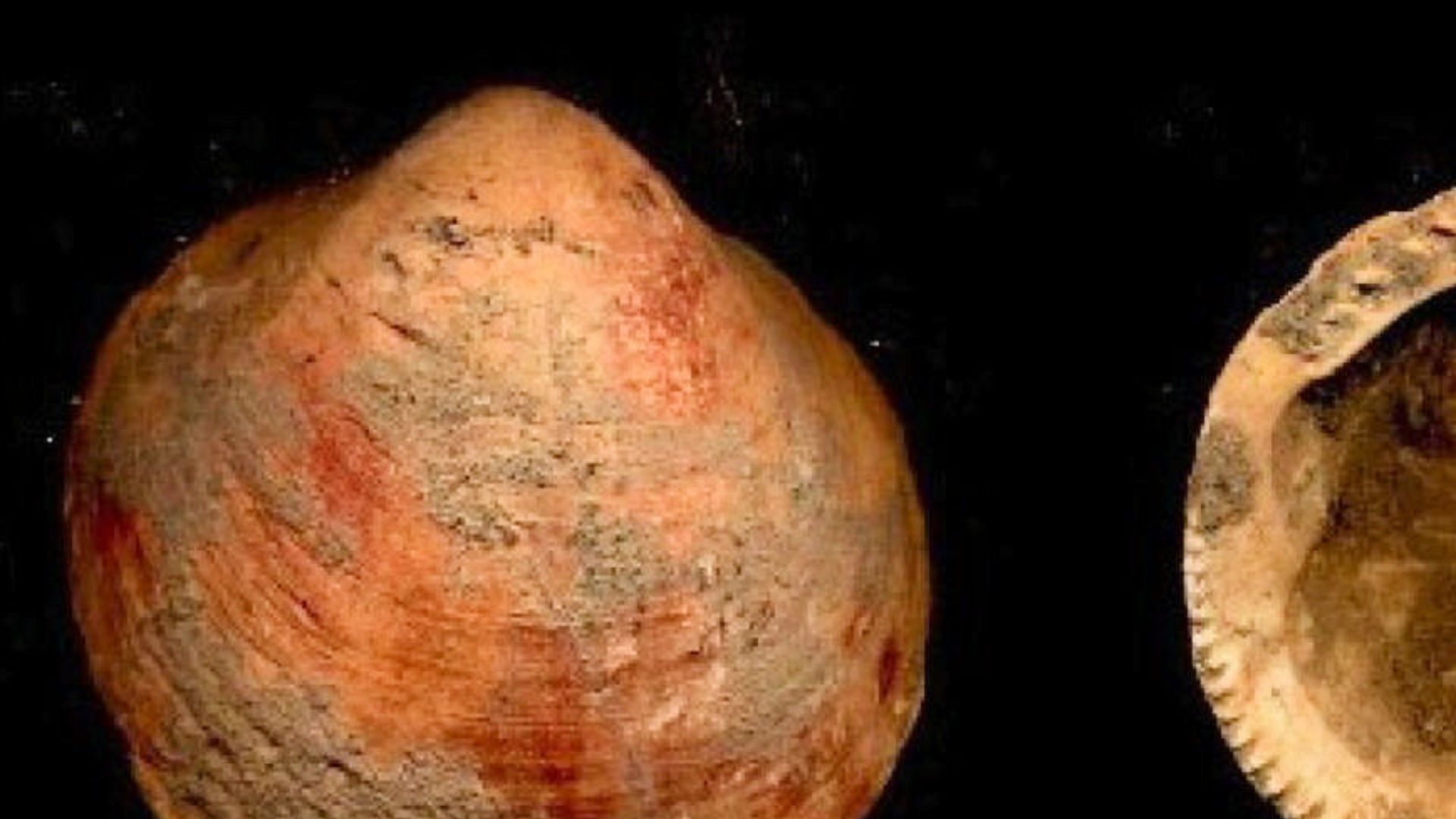 12. Perles en coquillage de Ksar Akil