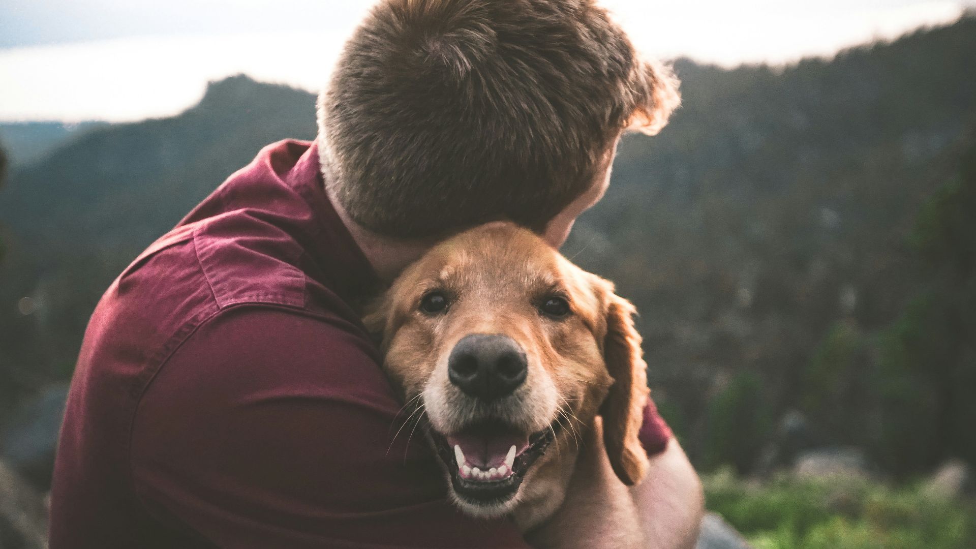 10 raisons pour lesquelles votre animal pourrait être plus intelligent que vous et 10 signes indiquant que vous êtes le plus intelligent