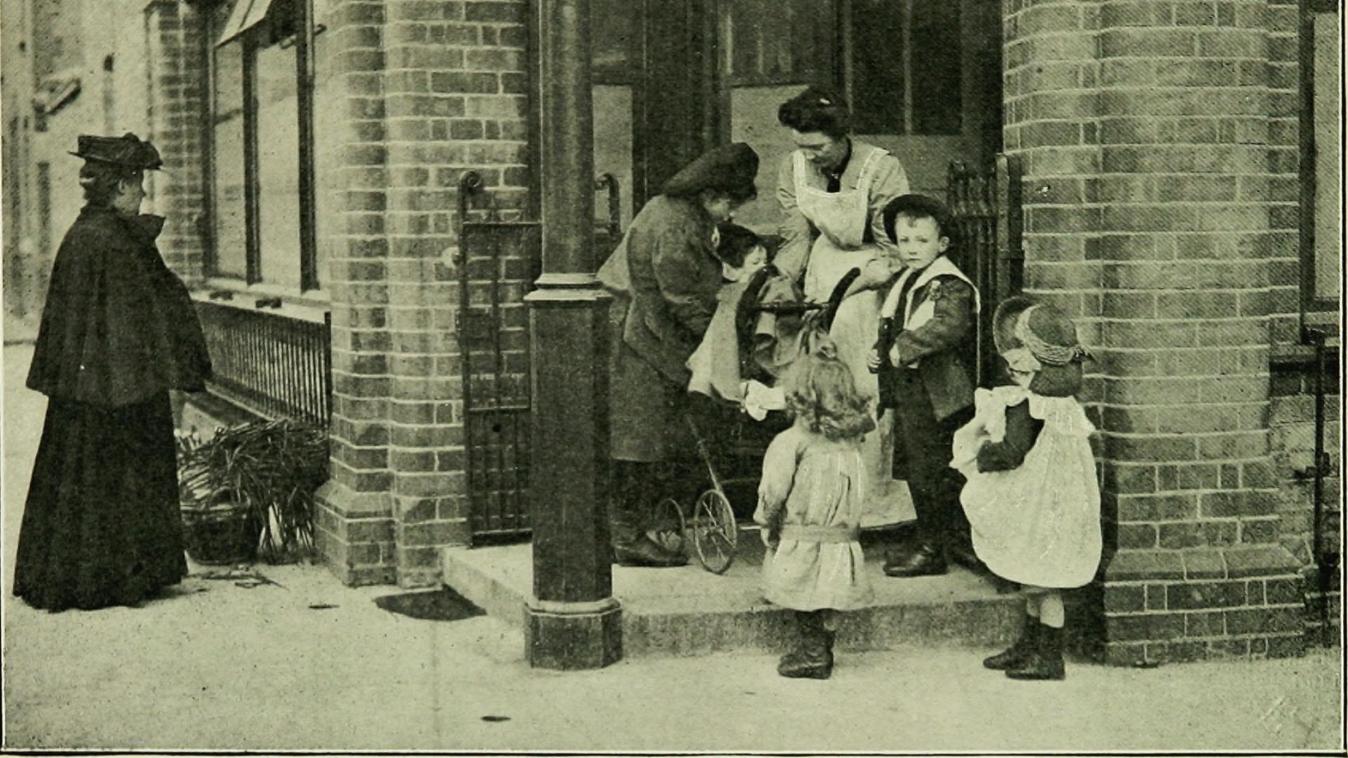 4. Mycobacterium tuberculosis