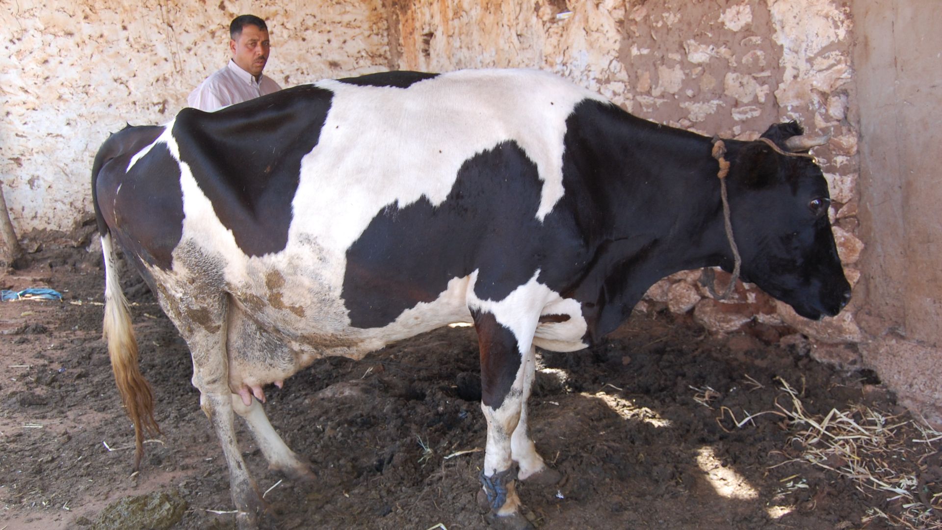 6. Clostridium Botulinum