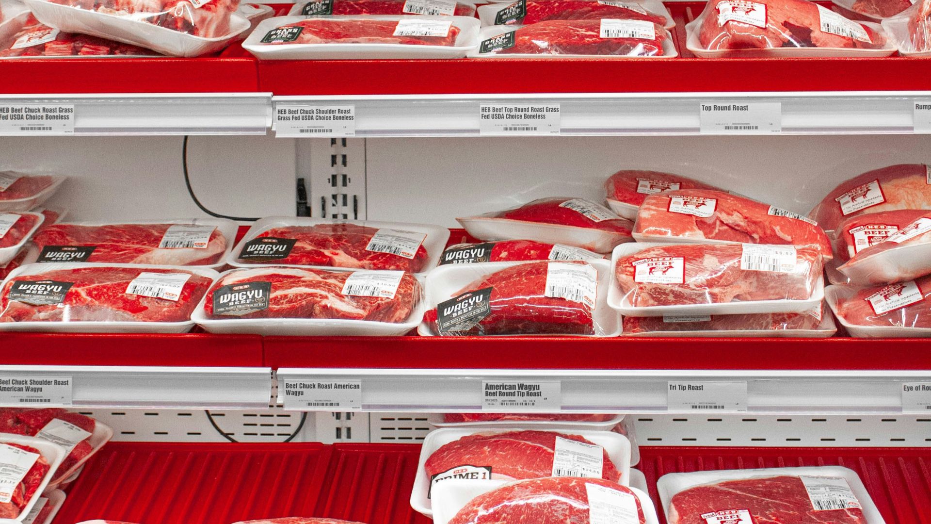 14. Escherichia Coli O157:H7