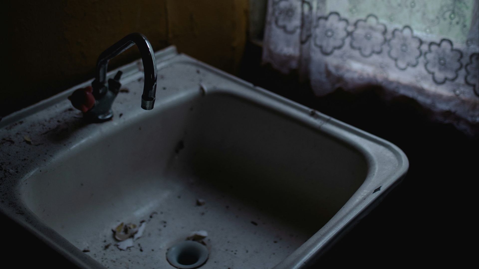 19. Pseudomonas Aeruginosa